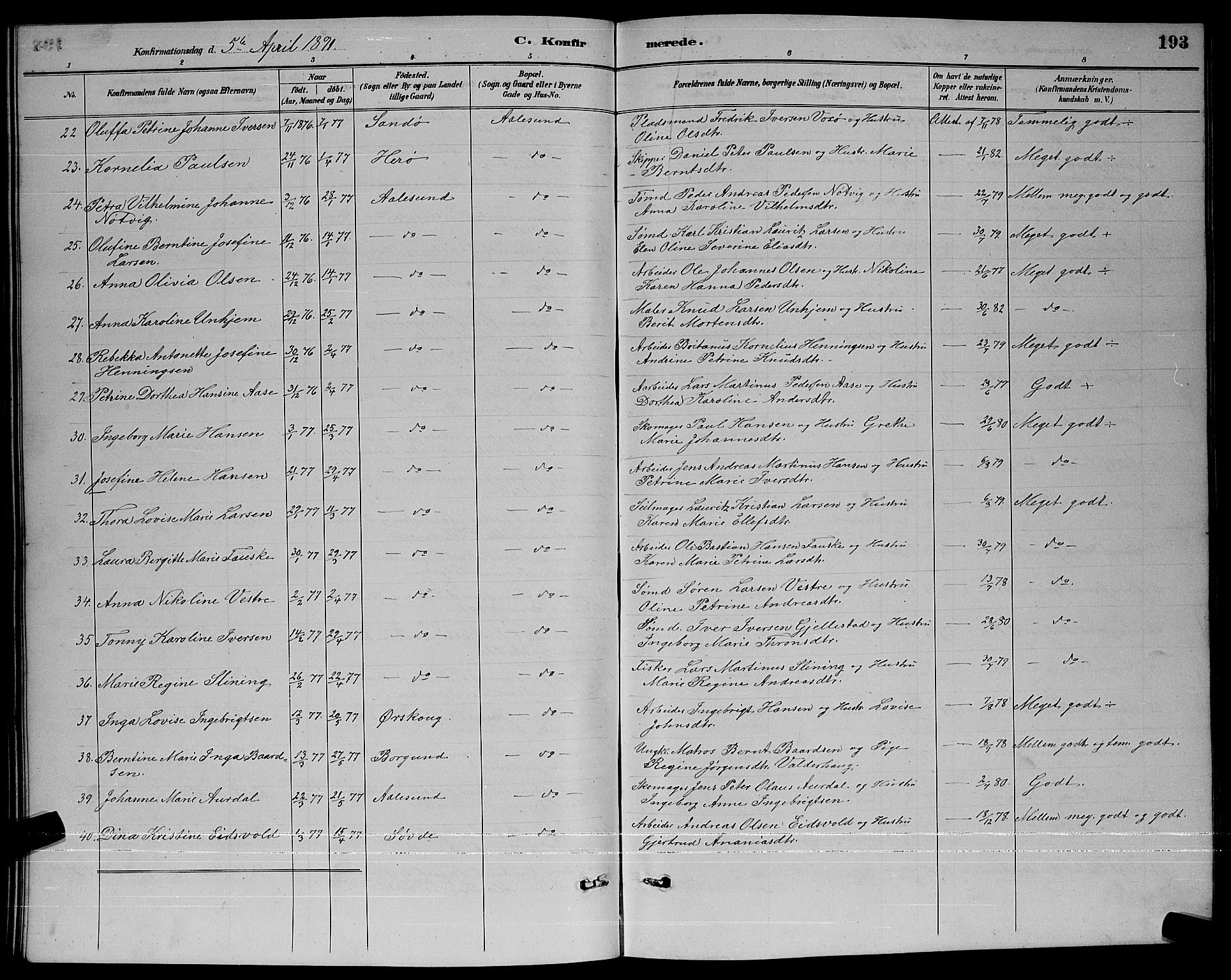 Ministerialprotokoller, klokkerbøker og fødselsregistre - Møre og Romsdal, AV/SAT-A-1454/529/L0467: Parish register (copy) no. 529C04, 1889-1897, p. 193