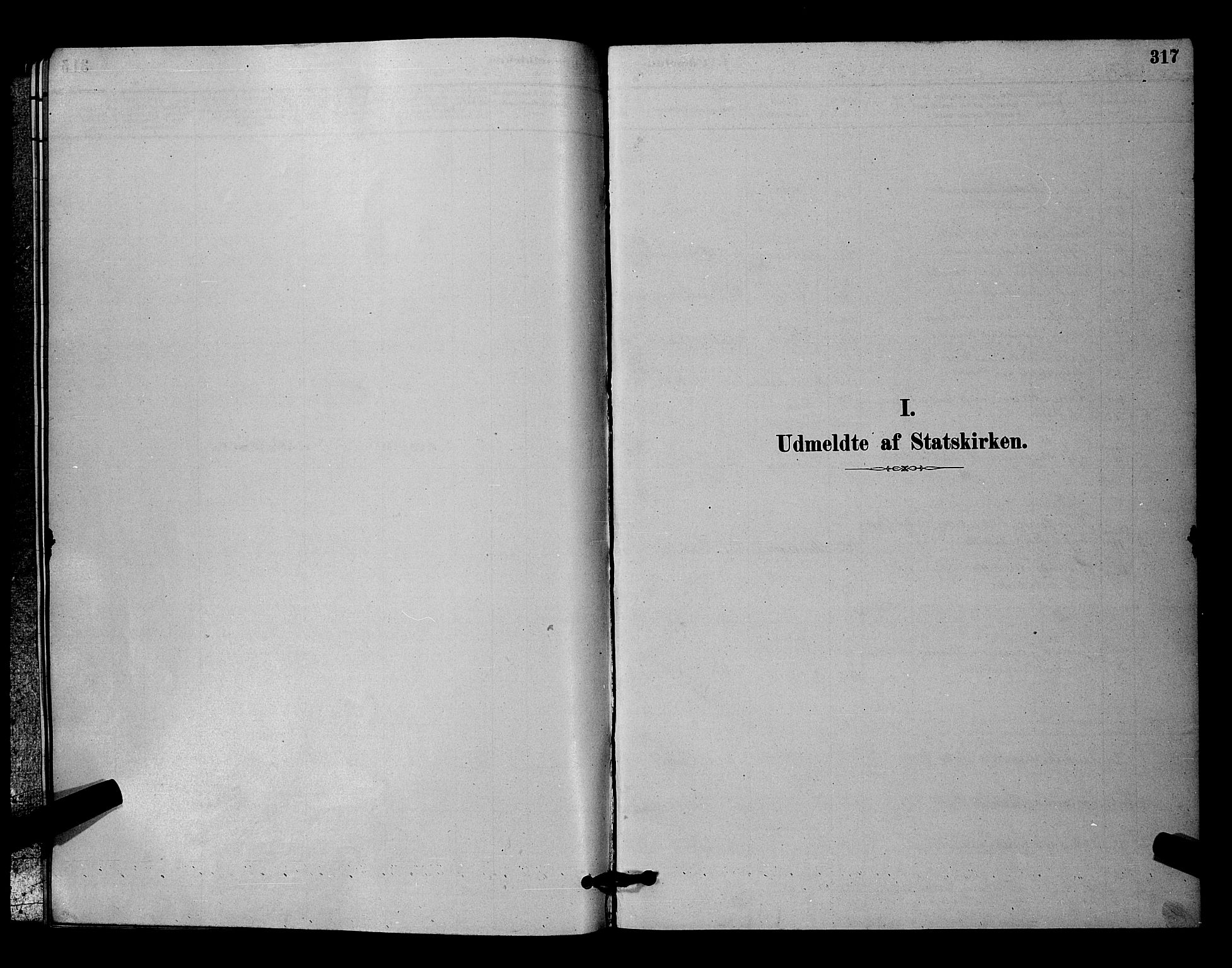 Nittedal prestekontor Kirkebøker, SAO/A-10365a/G/Ga/L0002: Parish register (copy) no. I 2, 1879-1901, p. 317