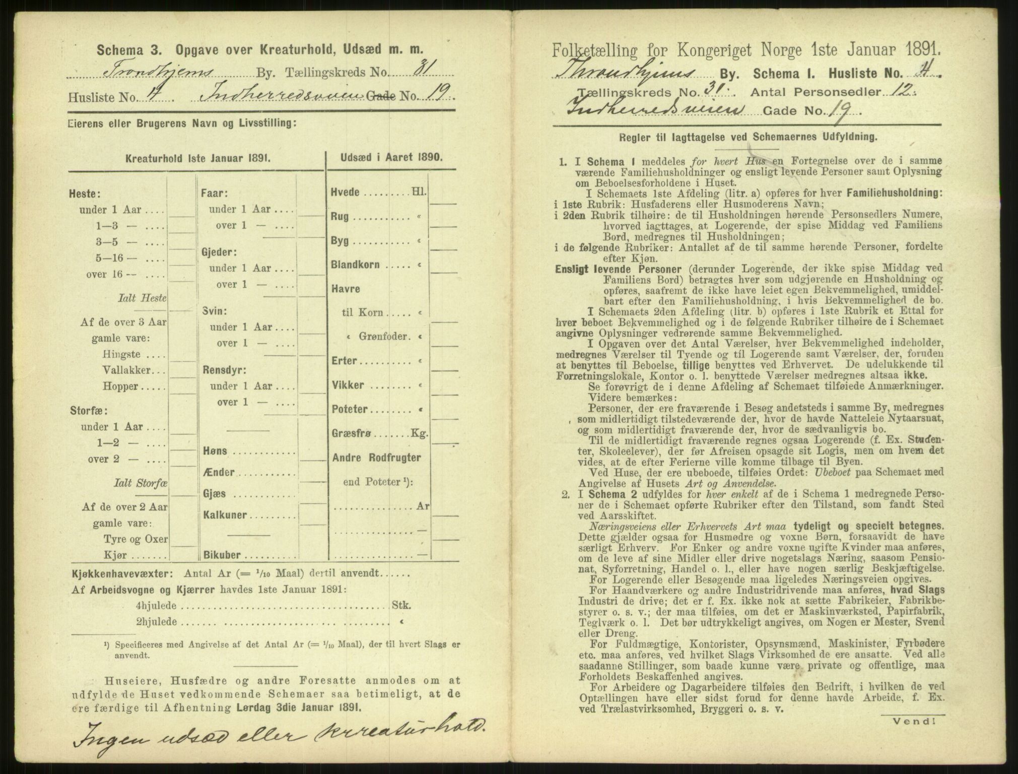 RA, 1891 census for 1601 Trondheim, 1891, p. 2318