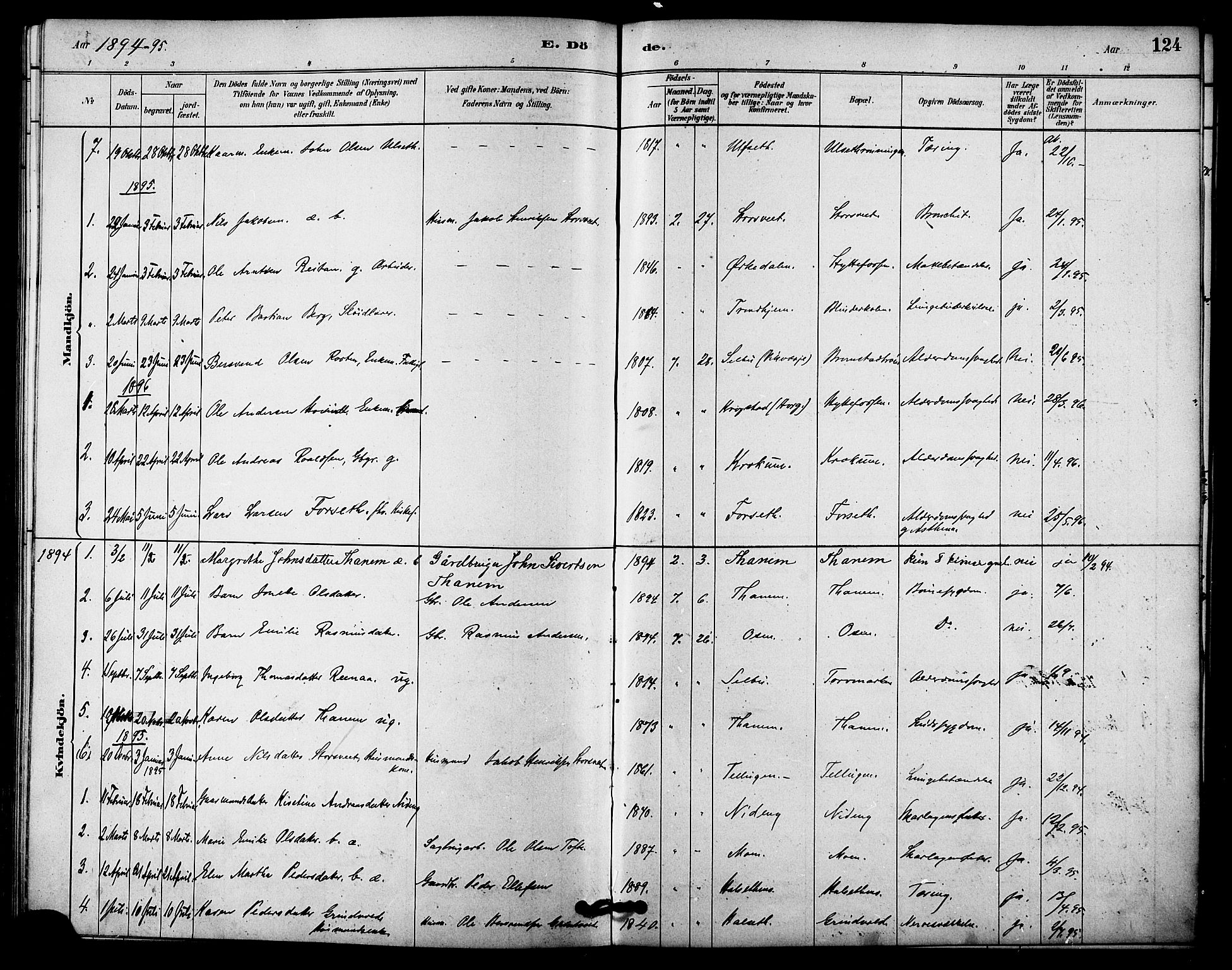 Ministerialprotokoller, klokkerbøker og fødselsregistre - Sør-Trøndelag, SAT/A-1456/618/L0444: Parish register (official) no. 618A07, 1880-1898, p. 124