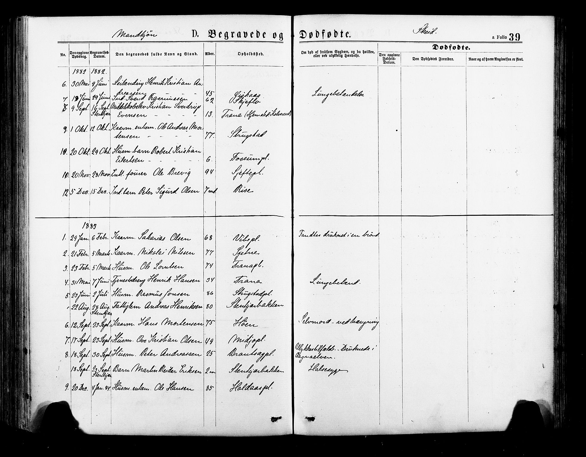 Ministerialprotokoller, klokkerbøker og fødselsregistre - Nord-Trøndelag, AV/SAT-A-1458/735/L0348: Parish register (official) no. 735A09 /2, 1873-1883, p. 39