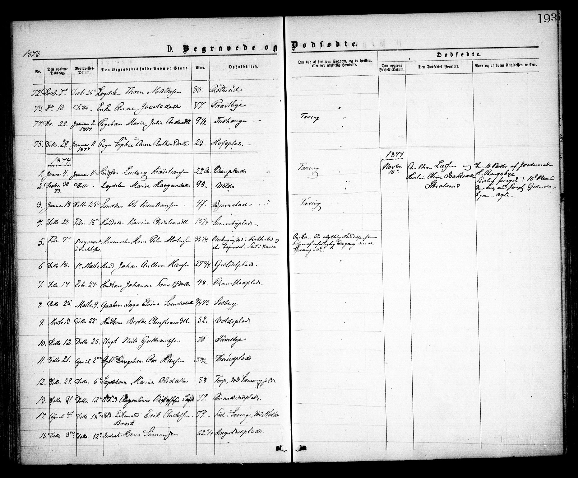 Spydeberg prestekontor Kirkebøker, SAO/A-10924/F/Fa/L0006: Parish register (official) no. I 6, 1863-1874, p. 193
