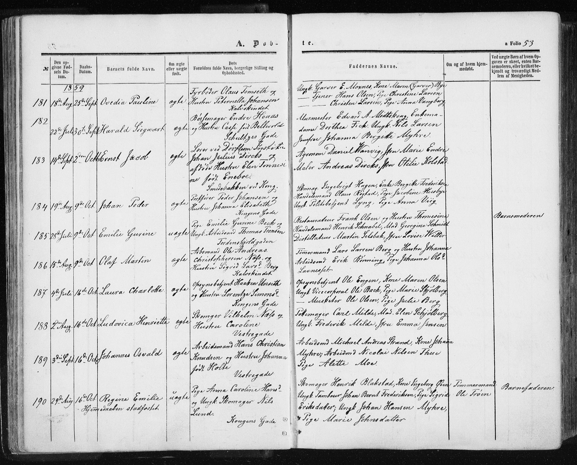 Ministerialprotokoller, klokkerbøker og fødselsregistre - Sør-Trøndelag, AV/SAT-A-1456/601/L0053: Parish register (official) no. 601A21, 1857-1865, p. 53