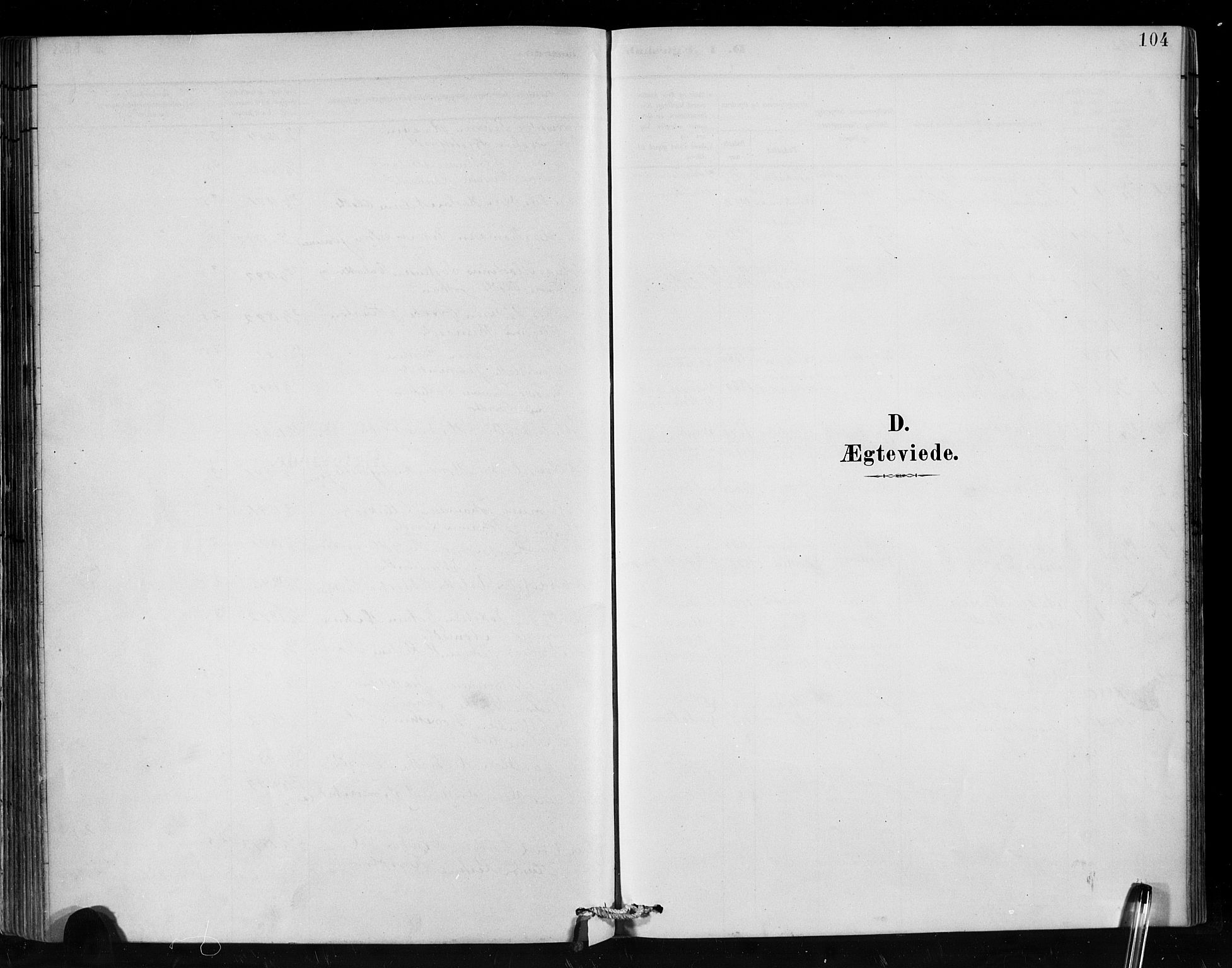 Hafslo sokneprestembete, SAB/A-80301/H/Hab/Habc/L0001: Parish register (copy) no. C 1, 1882-1908, p. 104