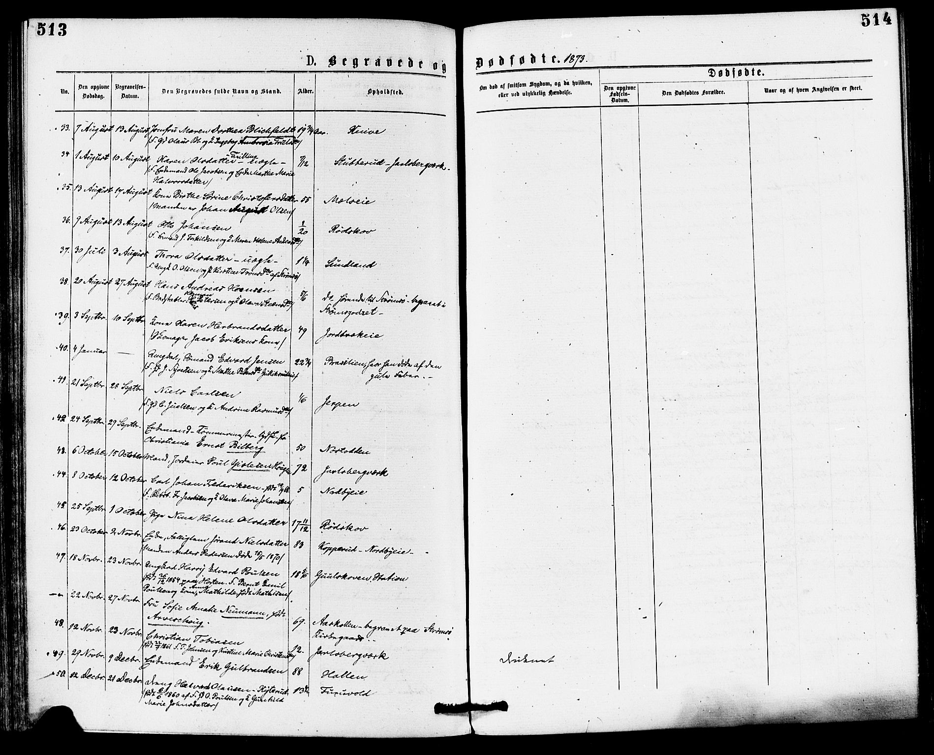 Skoger kirkebøker, AV/SAKO-A-59/F/Fa/L0005: Parish register (official) no. I 5, 1873-1884, p. 513-514