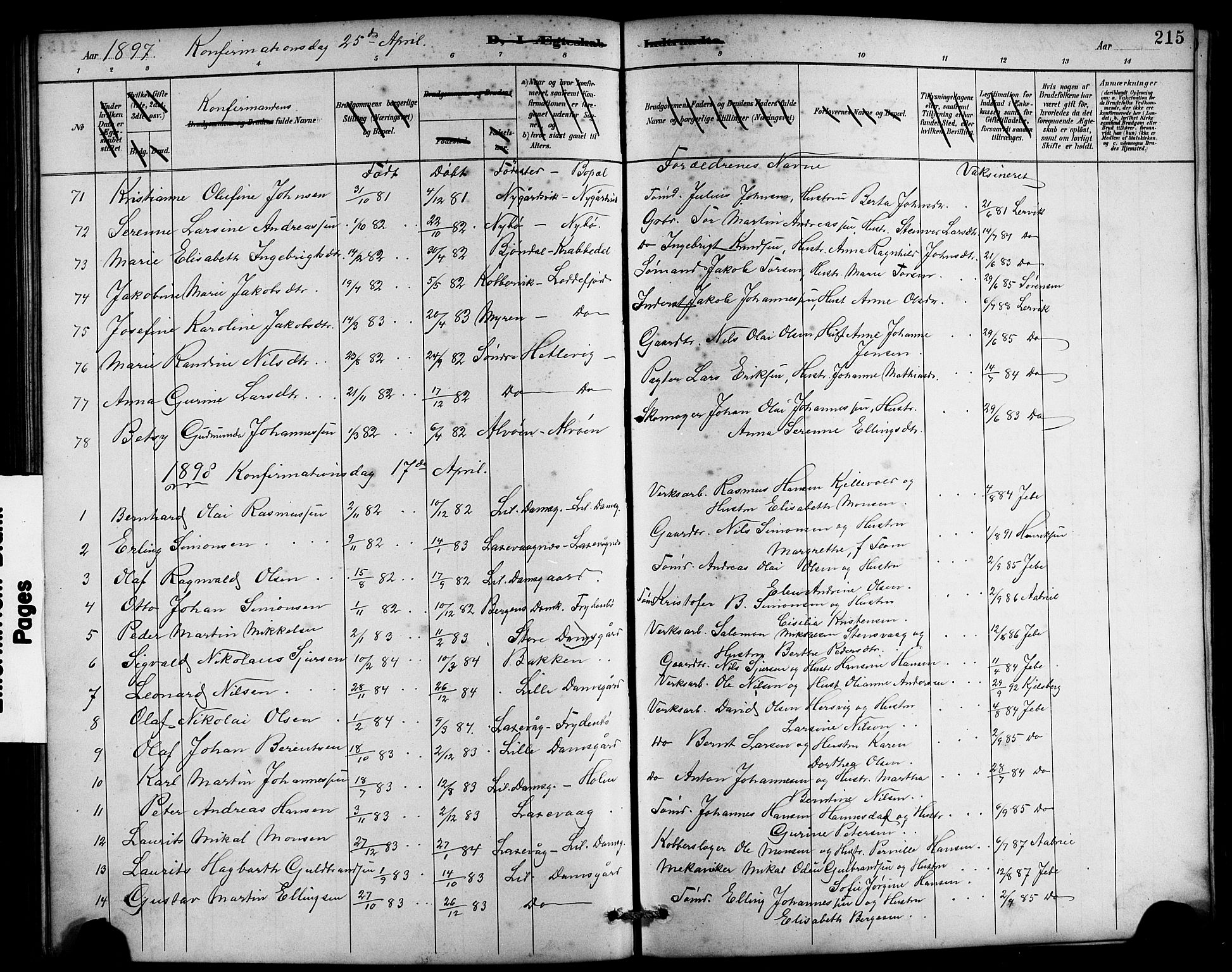 Laksevåg Sokneprestembete, SAB/A-76501/H/Ha/Hab/Haba/L0003: Parish register (copy) no. A 3, 1887-1899, p. 215