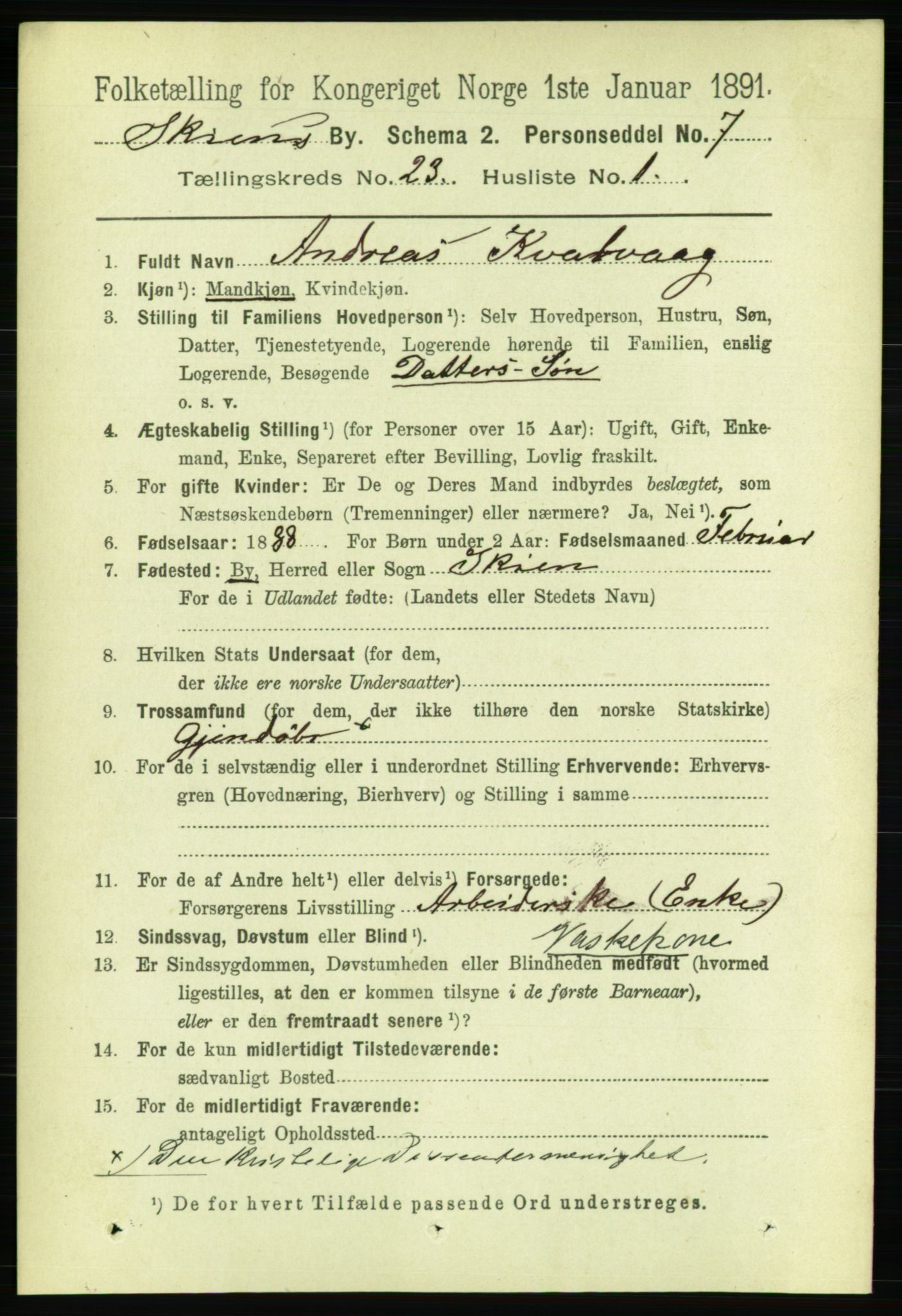 RA, 1891 census for 0806 Skien, 1891, p. 5821