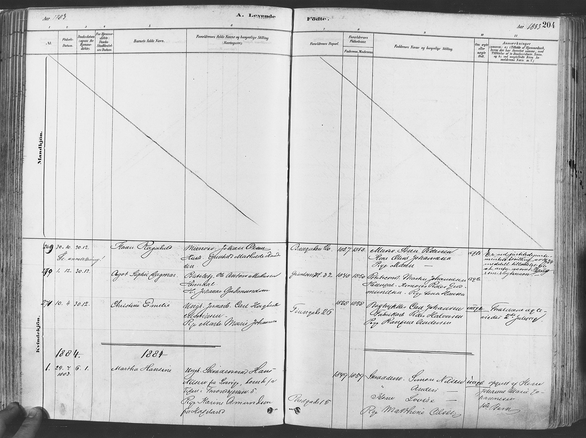 Grønland prestekontor Kirkebøker, AV/SAO-A-10848/F/Fa/L0007: Parish register (official) no. 7, 1878-1888, p. 204