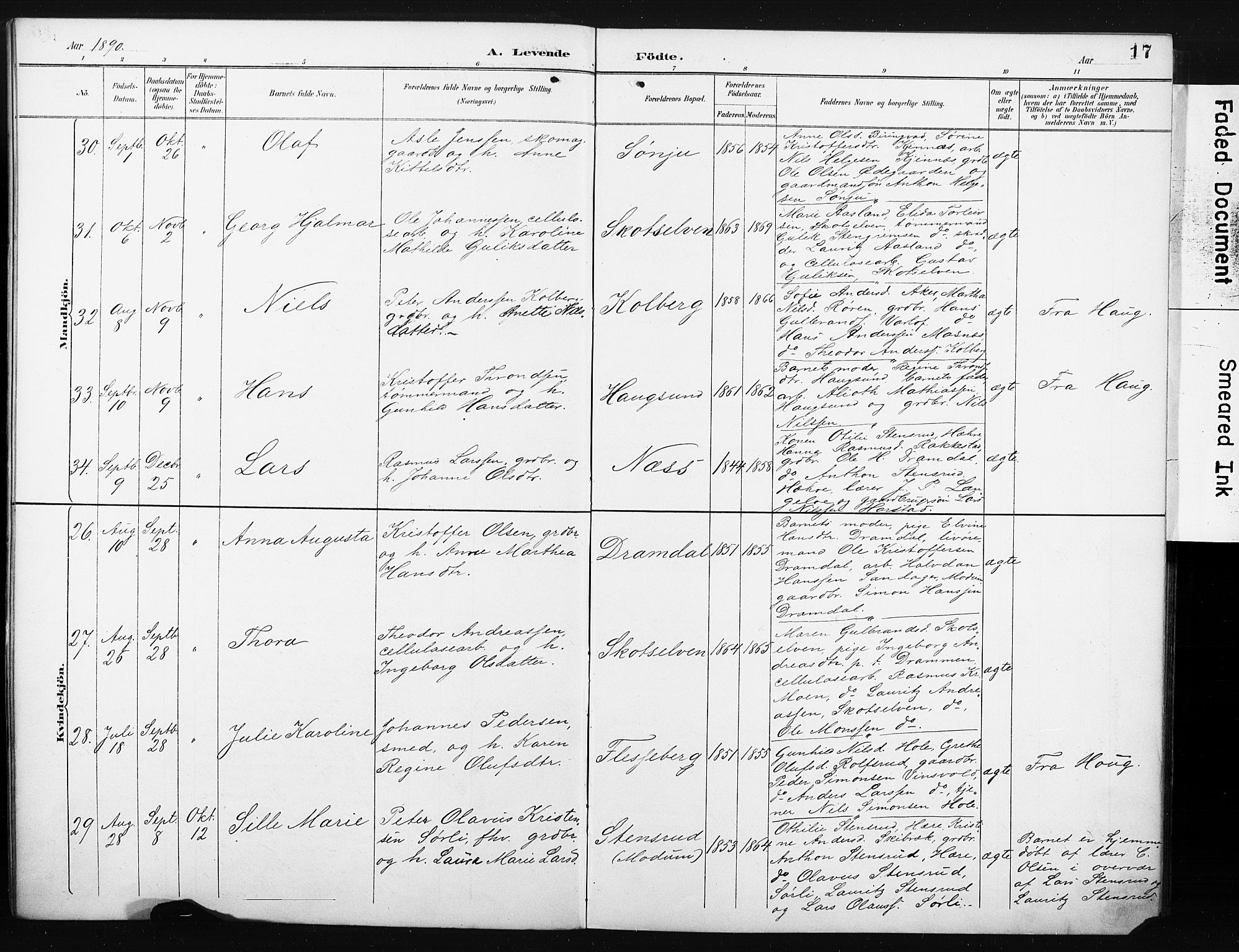Eiker kirkebøker, SAKO/A-4/F/Fc/L0002: Parish register (official) no. III 2, 1889-1897, p. 17