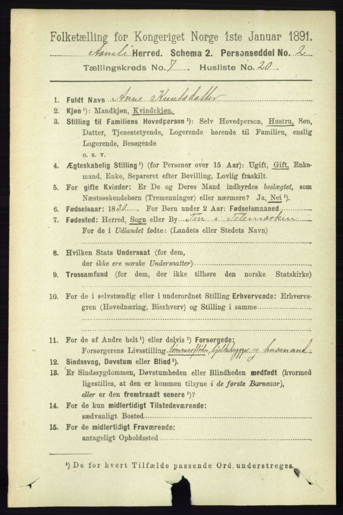 RA, 1891 census for 0929 Åmli, 1891, p. 1061