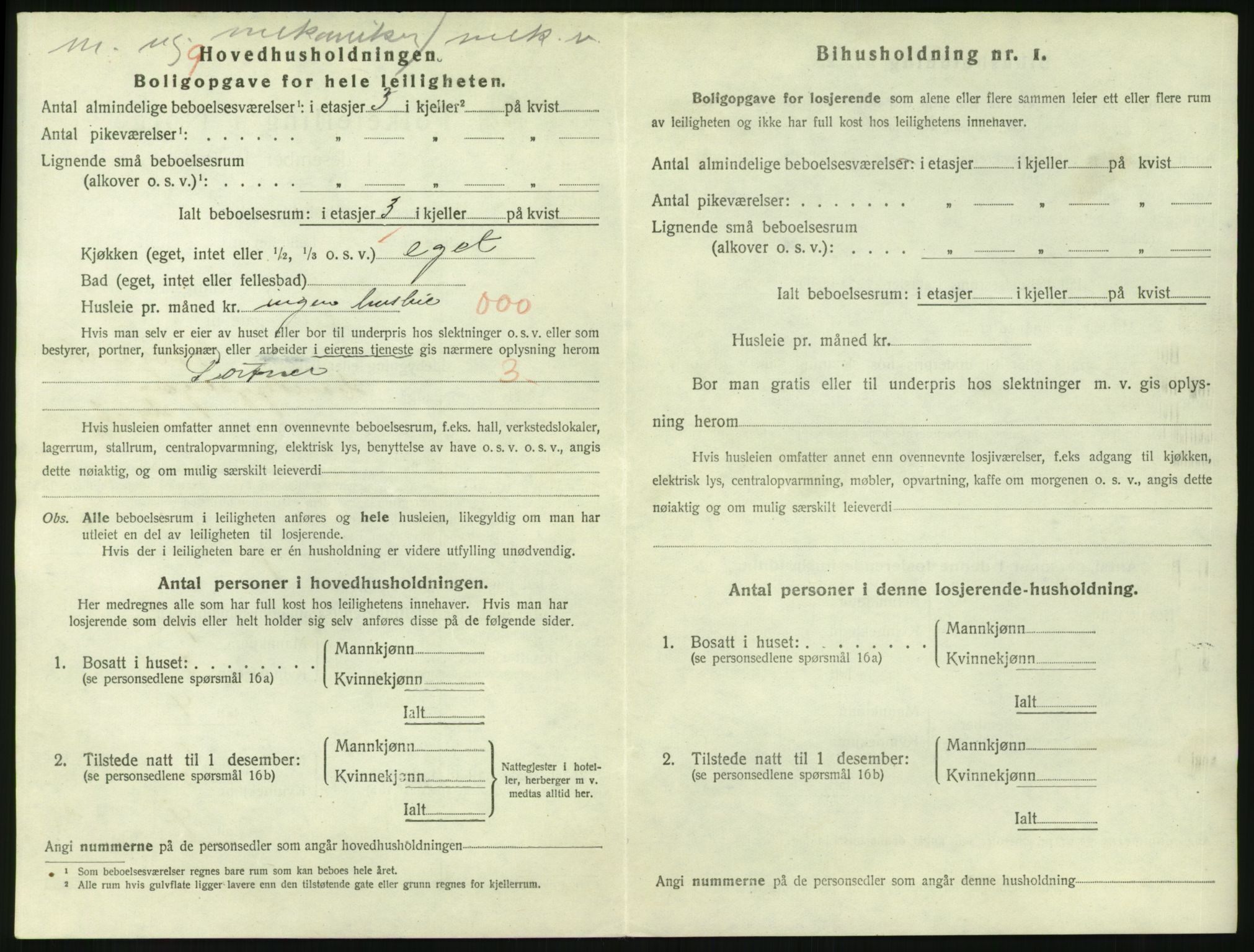 SAKO, 1920 census for Larvik, 1920, p. 4163