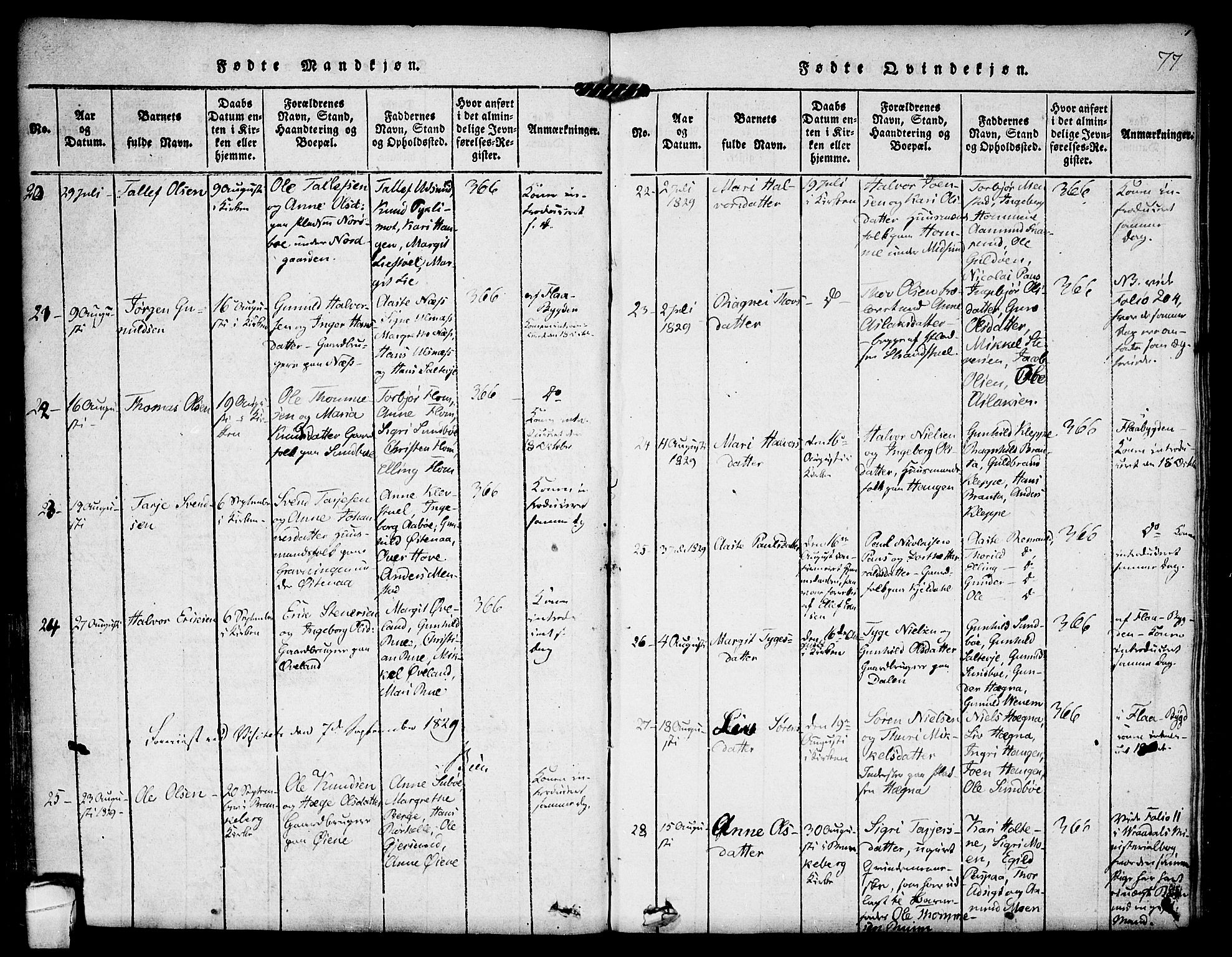 Kviteseid kirkebøker, SAKO/A-276/F/Fa/L0005: Parish register (official) no. I 5, 1815-1836, p. 77