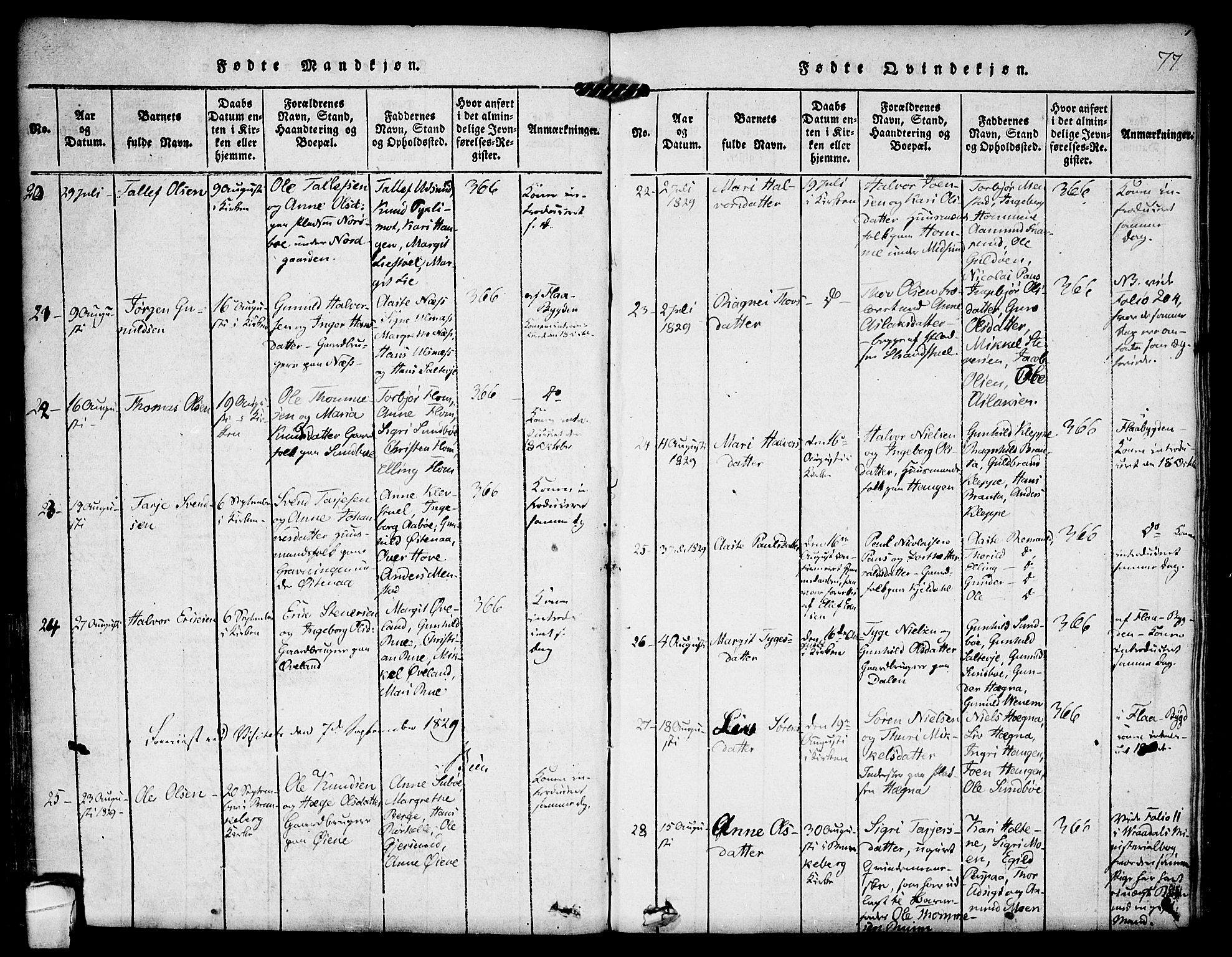 Kviteseid kirkebøker, AV/SAKO-A-276/F/Fa/L0005: Parish register (official) no. I 5, 1815-1836, p. 77