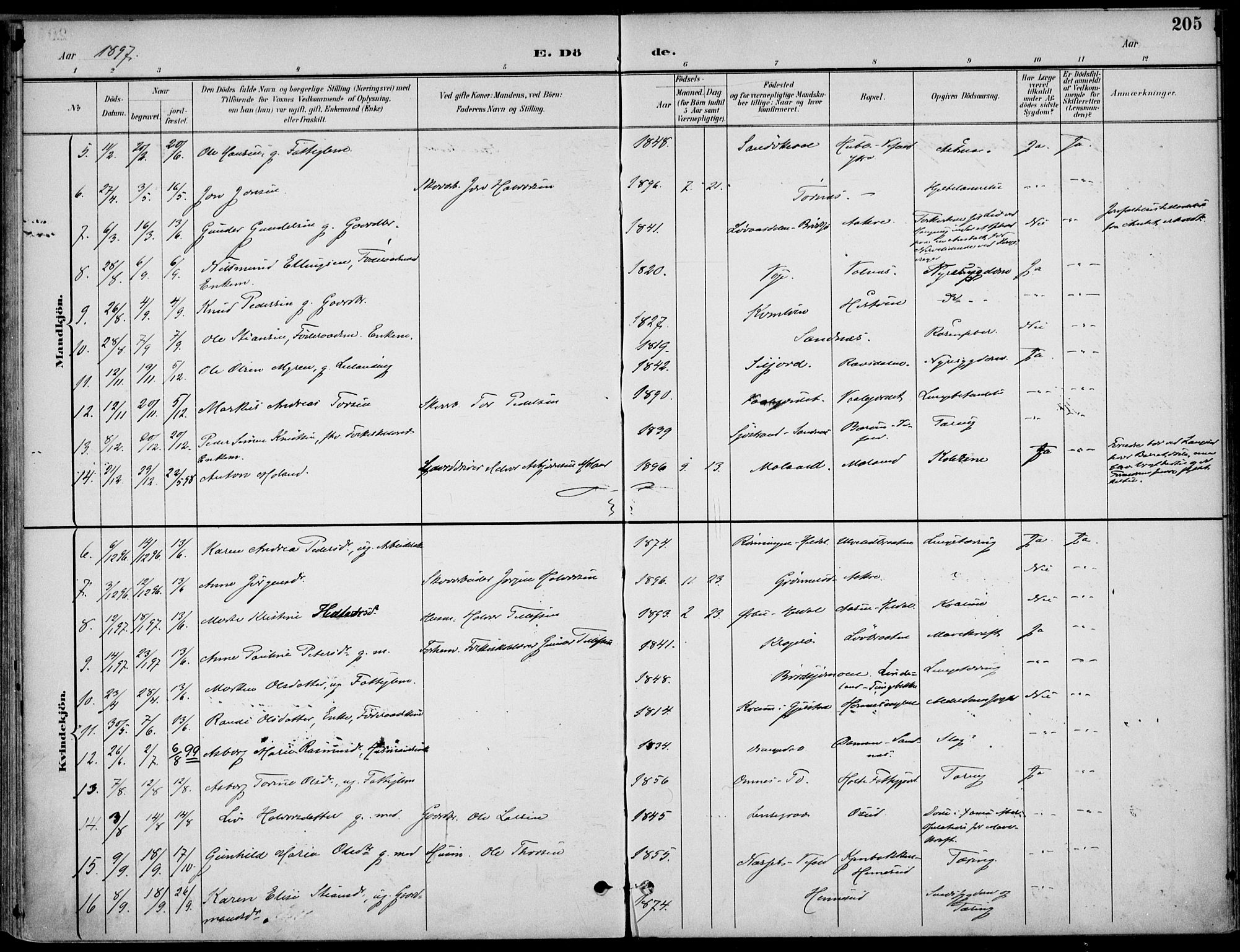 Drangedal kirkebøker, SAKO/A-258/F/Fa/L0012: Parish register (official) no. 12, 1895-1905, p. 205