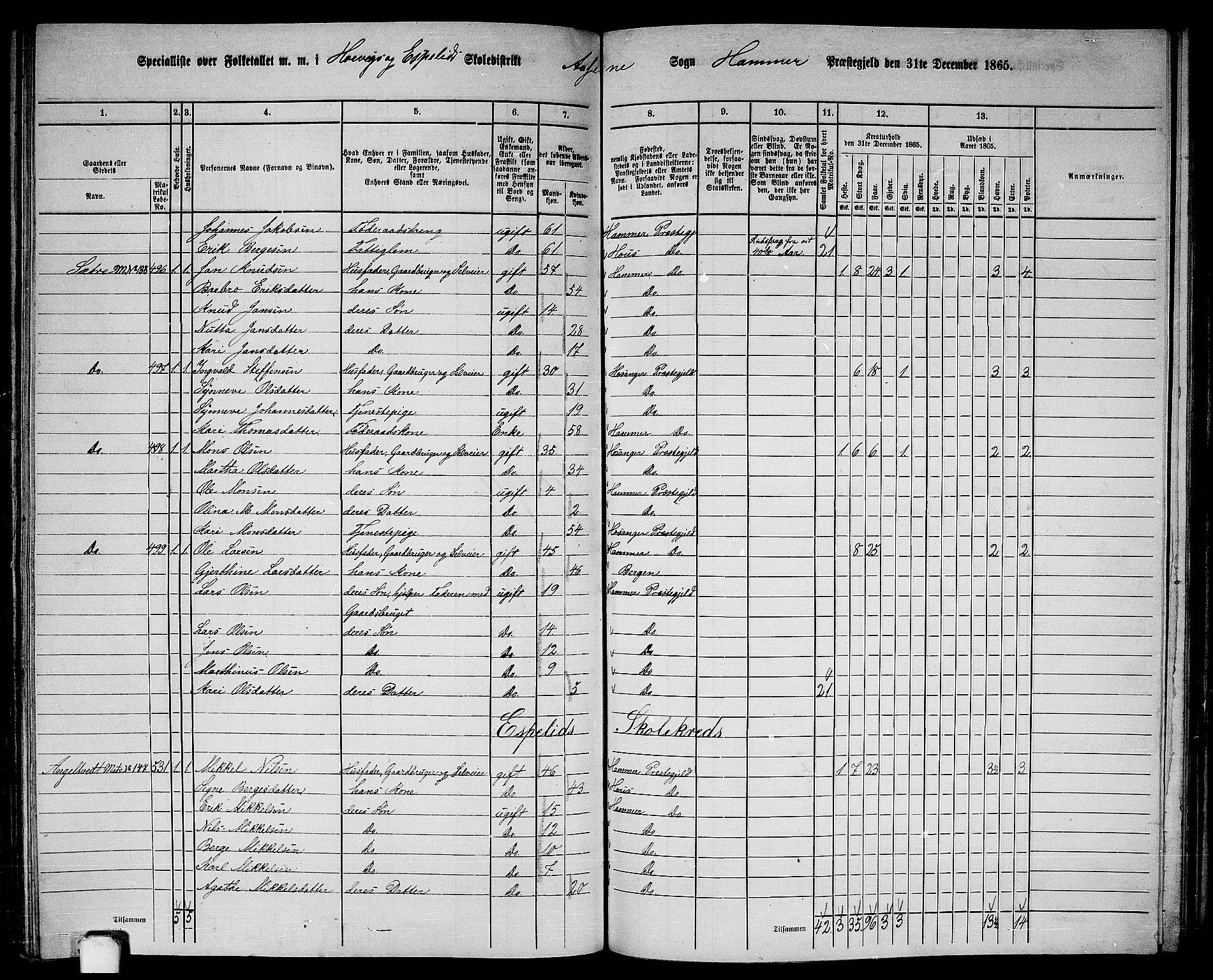 RA, 1865 census for Hamre, 1865, p. 174