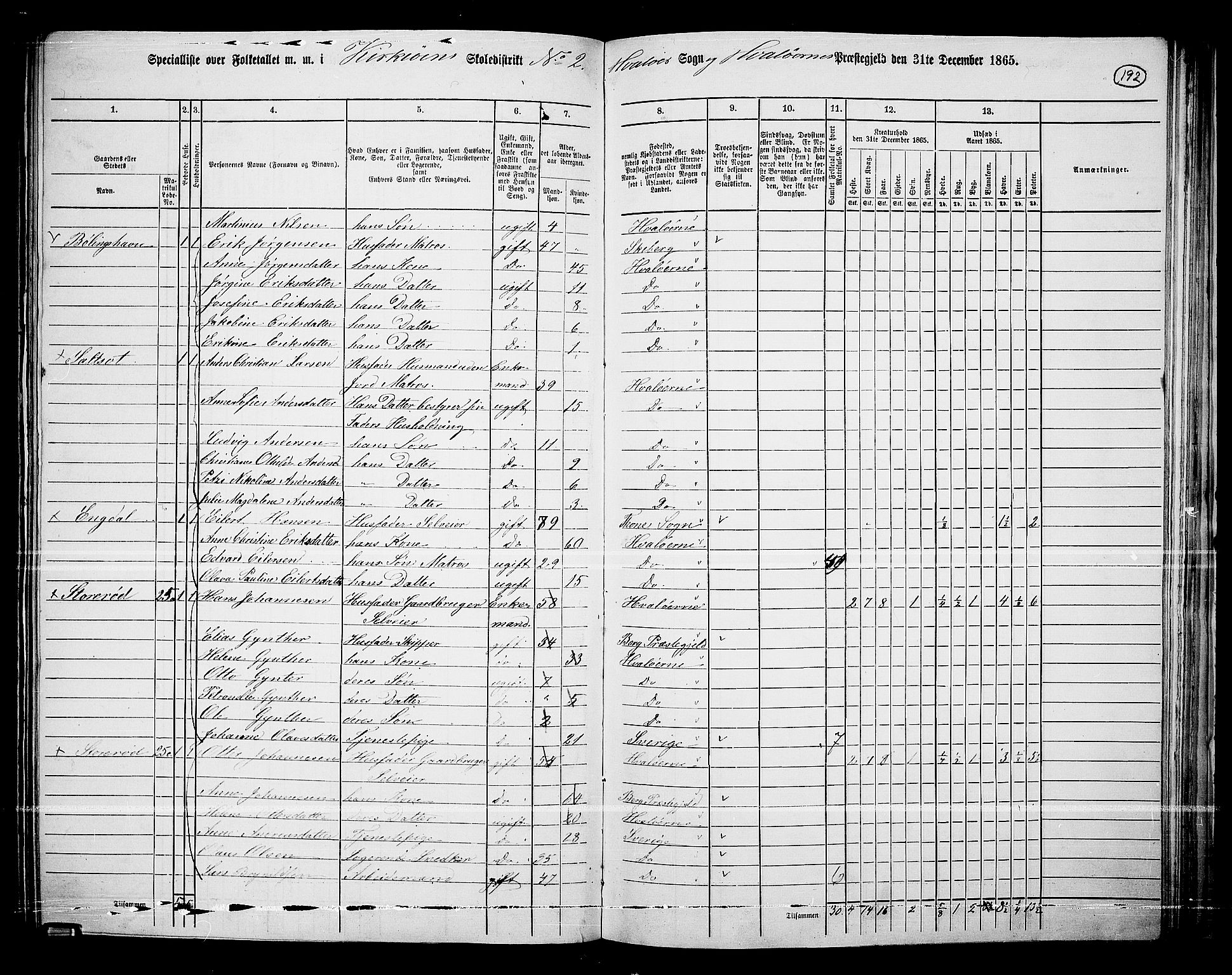 RA, 1865 census for Hvaler, 1865, p. 33