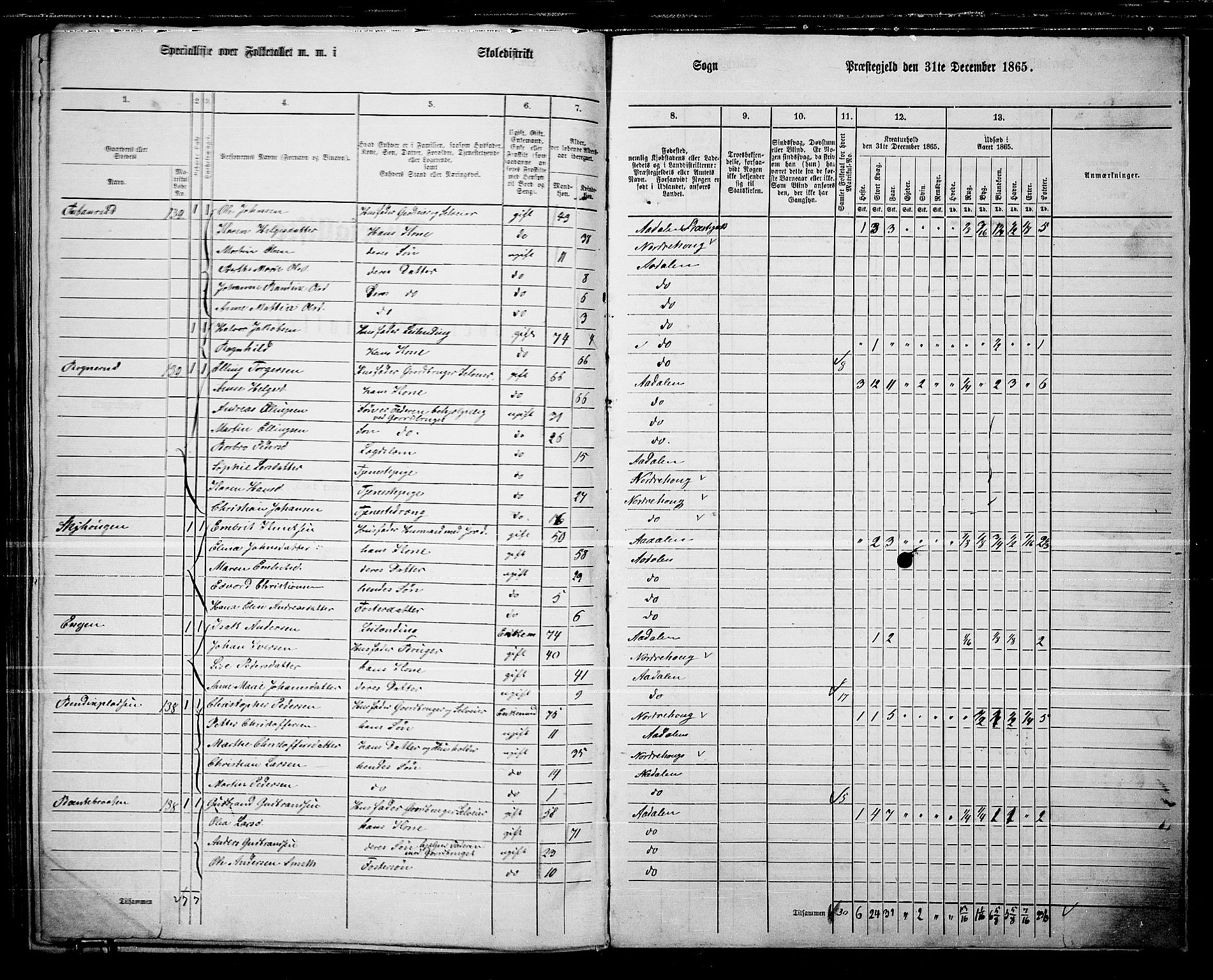 RA, 1865 census for Ådal, 1865, p. 105