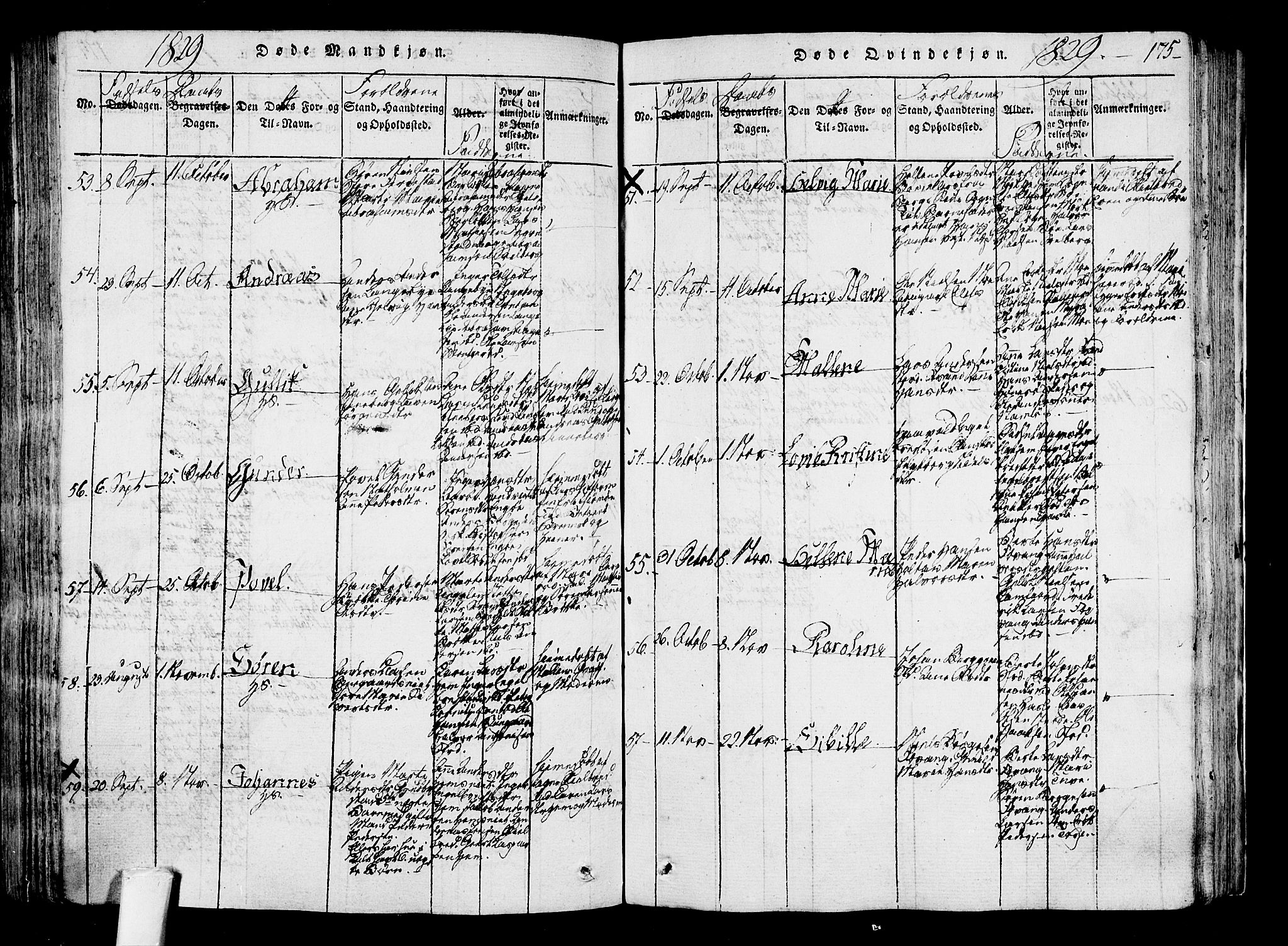 Sandar kirkebøker, AV/SAKO-A-243/F/Fa/L0004: Parish register (official) no. 4, 1814-1832, p. 175