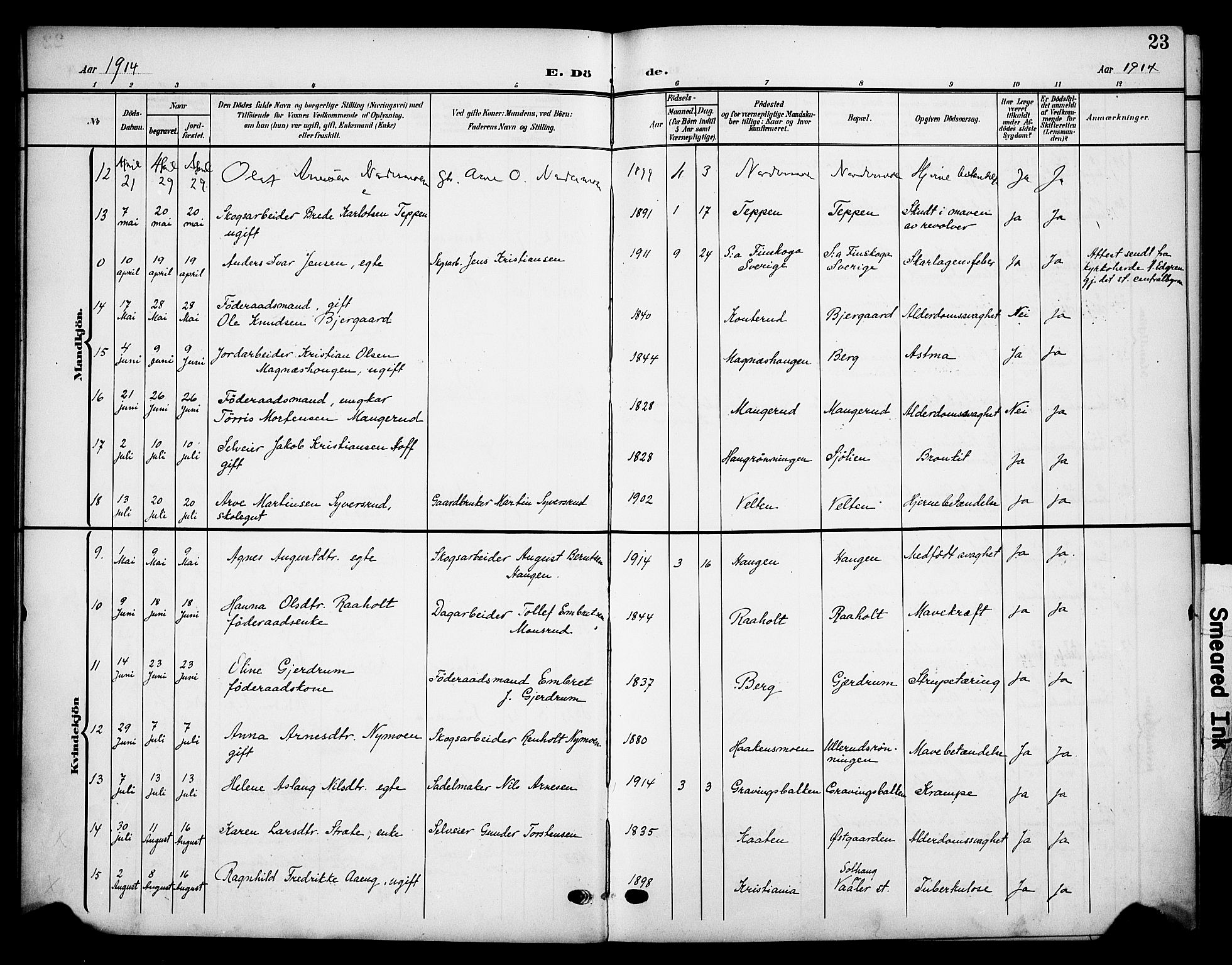 Våler prestekontor, Hedmark, AV/SAH-PREST-040/H/Ha/Haa/L0007: Parish register (official) no. 7, 1908-1919, p. 23