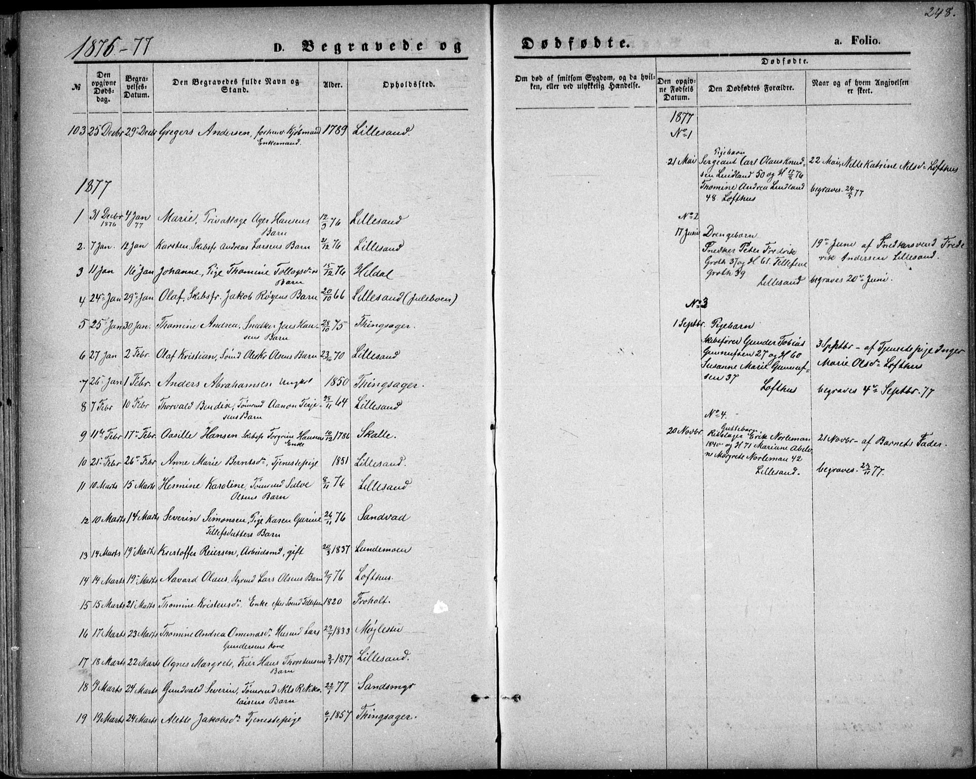 Vestre Moland sokneprestkontor, SAK/1111-0046/F/Fb/Fbb/L0005: Parish register (copy) no. B 5, 1872-1883, p. 248