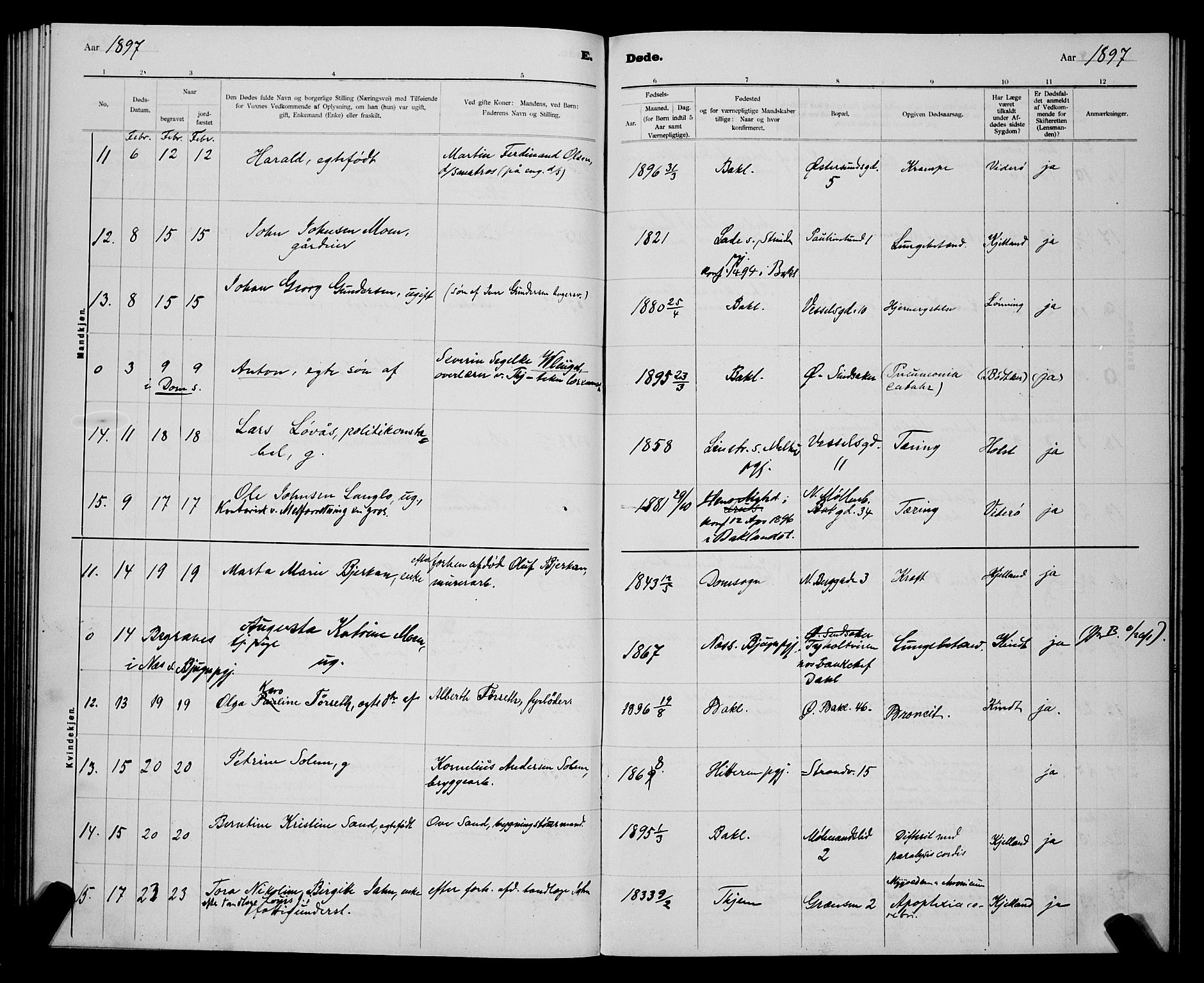 Ministerialprotokoller, klokkerbøker og fødselsregistre - Sør-Trøndelag, AV/SAT-A-1456/604/L0224: Parish register (copy) no. 604C07, 1894-1898