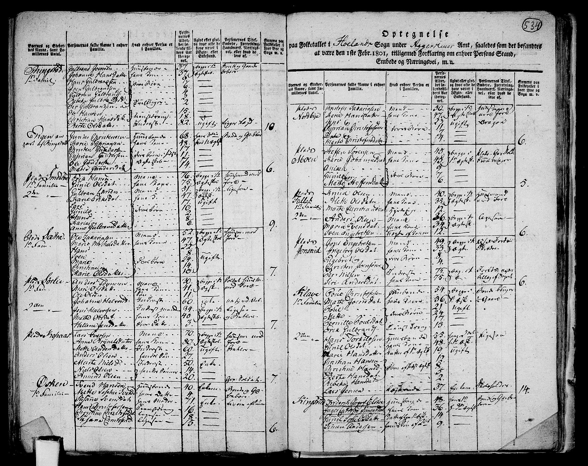 RA, 1801 census for 0221P Høland, 1801, p. 533b-534a