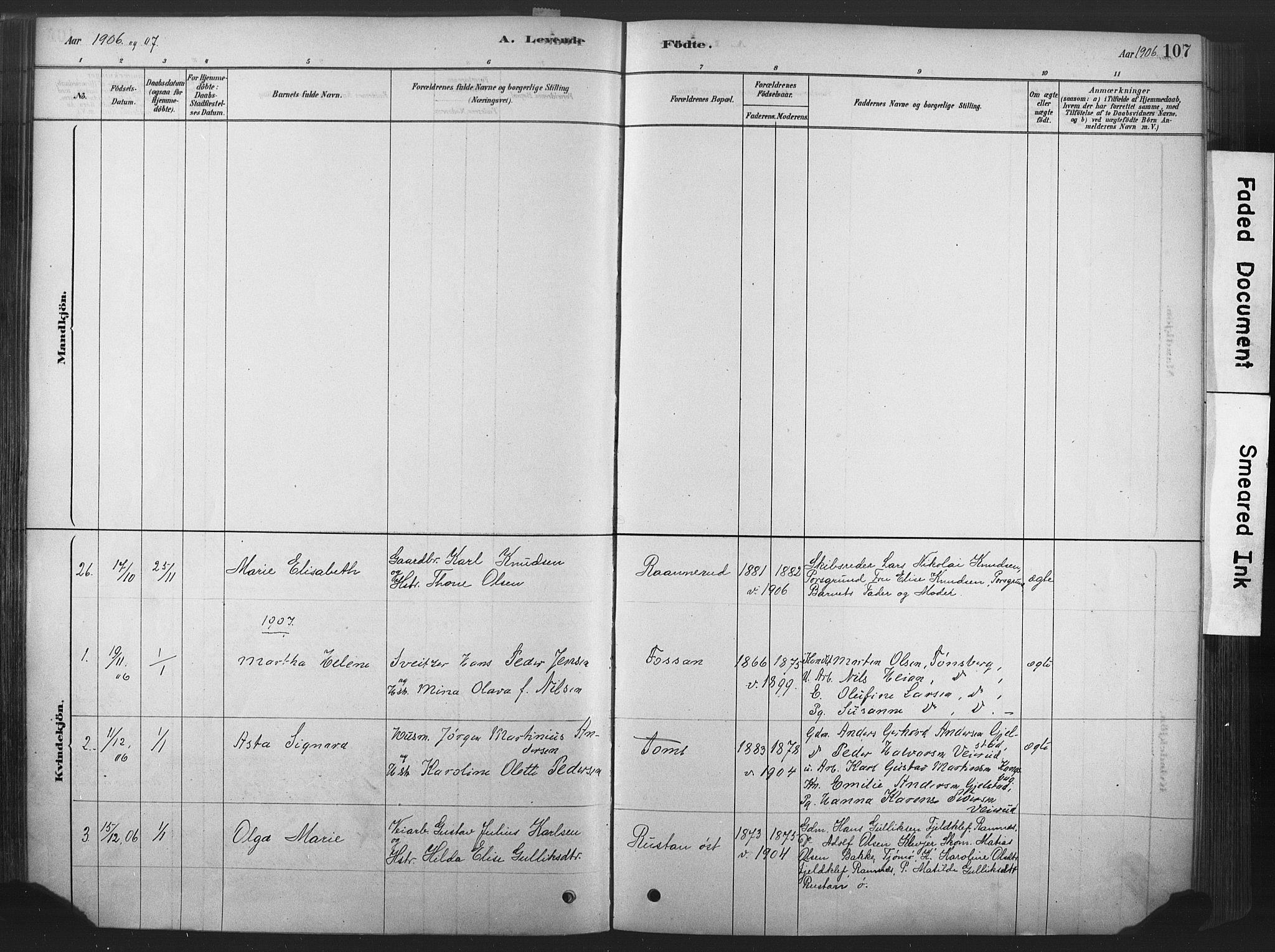 Våle kirkebøker, AV/SAKO-A-334/F/Fa/L0011: Parish register (official) no. I 11, 1878-1906, p. 107