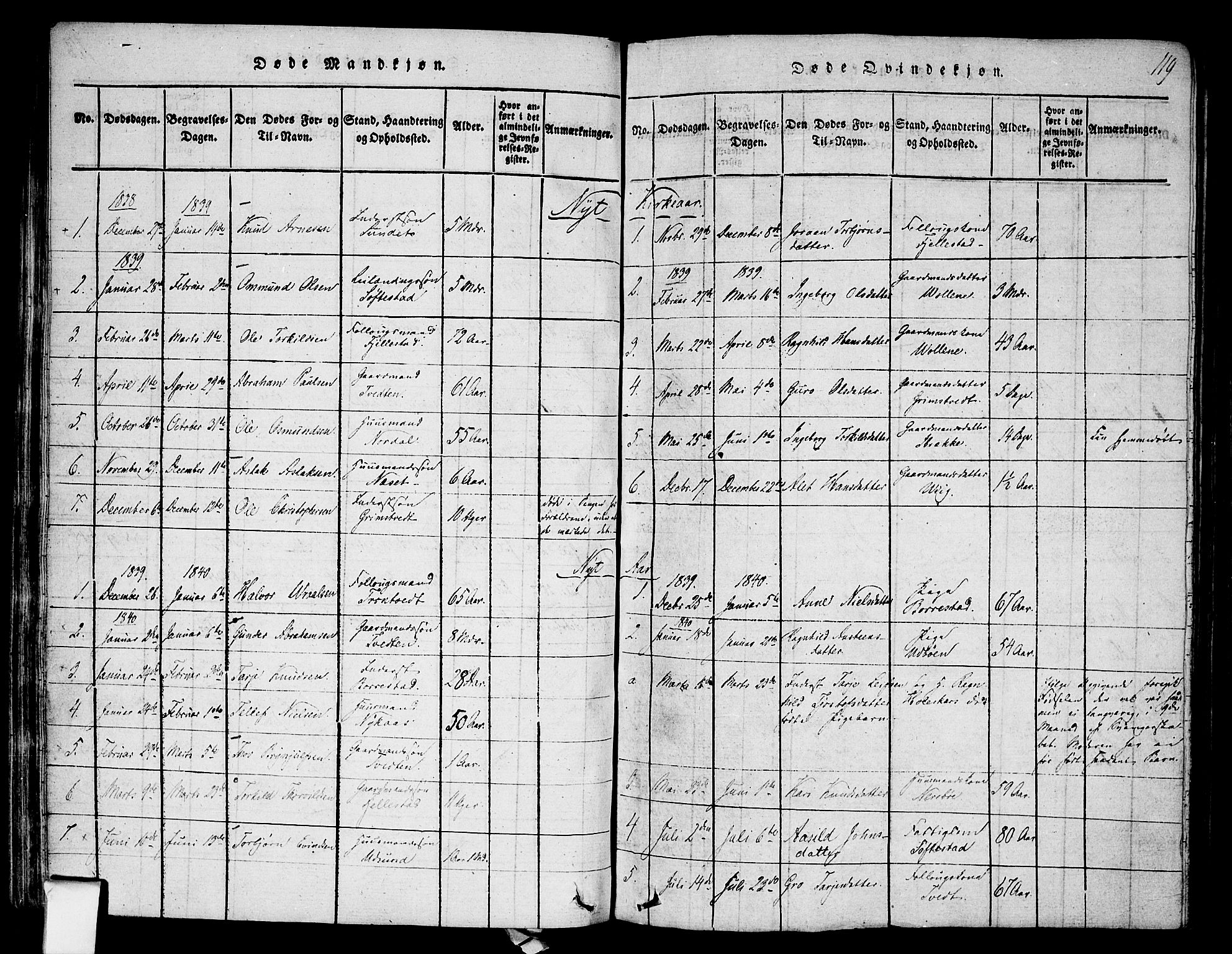 Nissedal kirkebøker, SAKO/A-288/F/Fa/L0002: Parish register (official) no. I 2, 1814-1845, p. 119