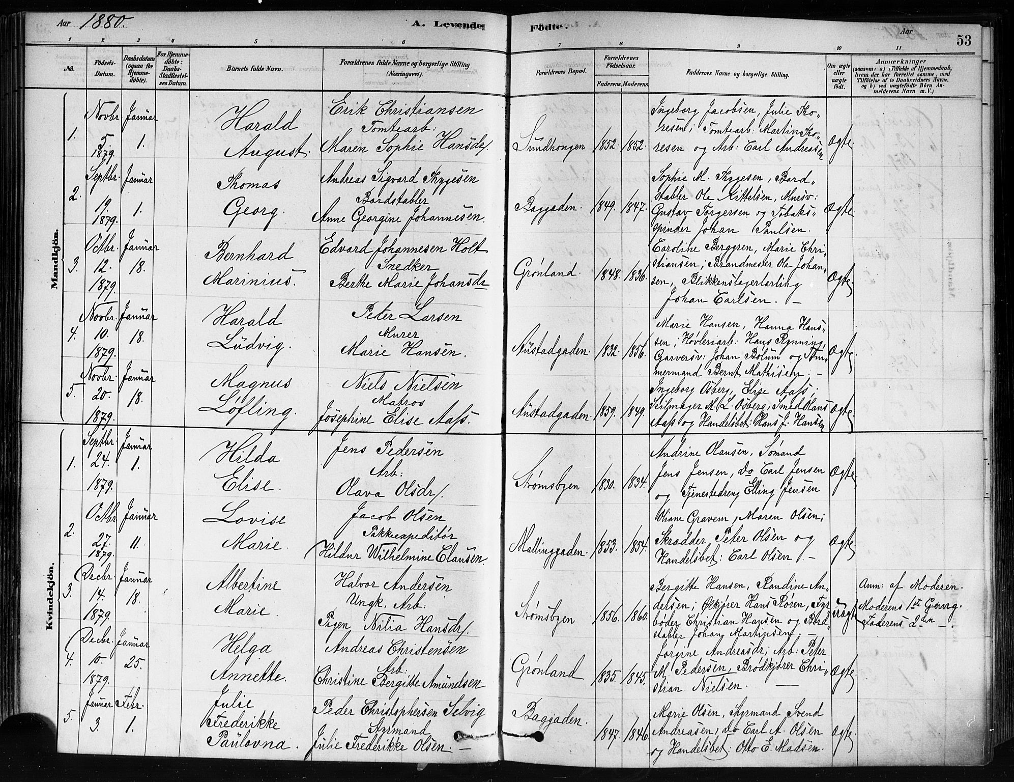 Strømsø kirkebøker, AV/SAKO-A-246/F/Fa/L0021: Parish register (official) no. I 21, 1878-1885, p. 53