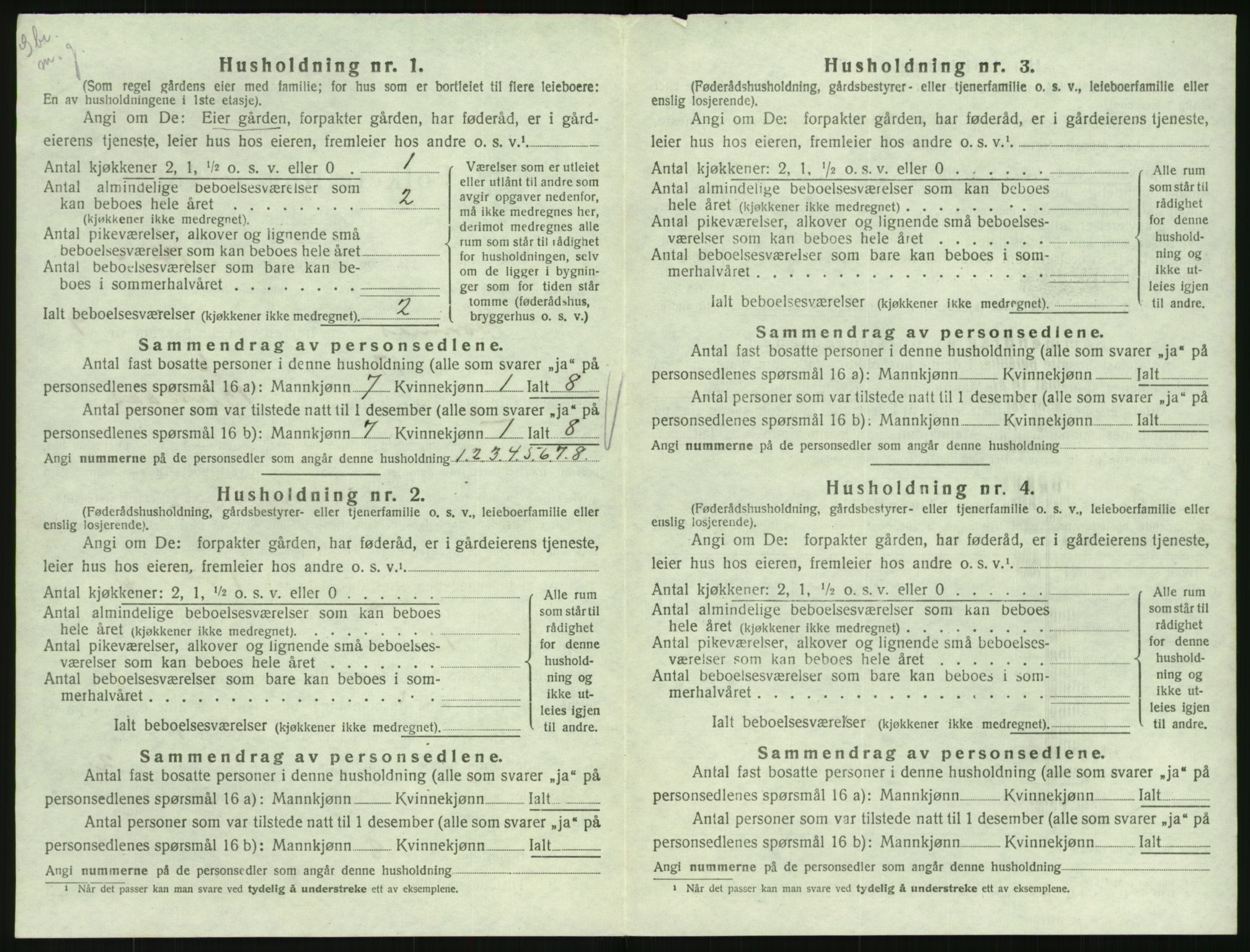SAK, 1920 census for Hornnes, 1920, p. 378