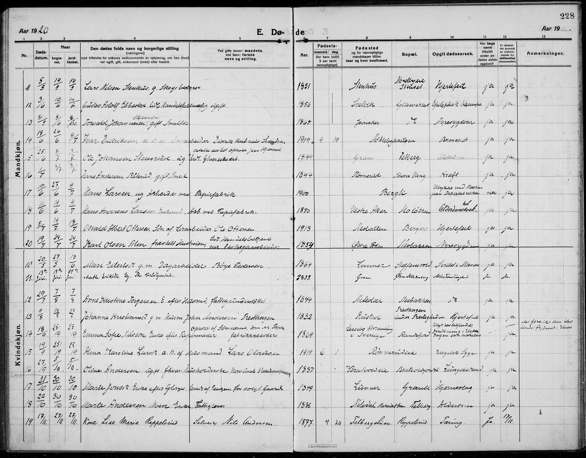 Jevnaker prestekontor, AV/SAH-PREST-116/H/Ha/Haa/L0012: Parish register (official) no. 12, 1914-1924, p. 228