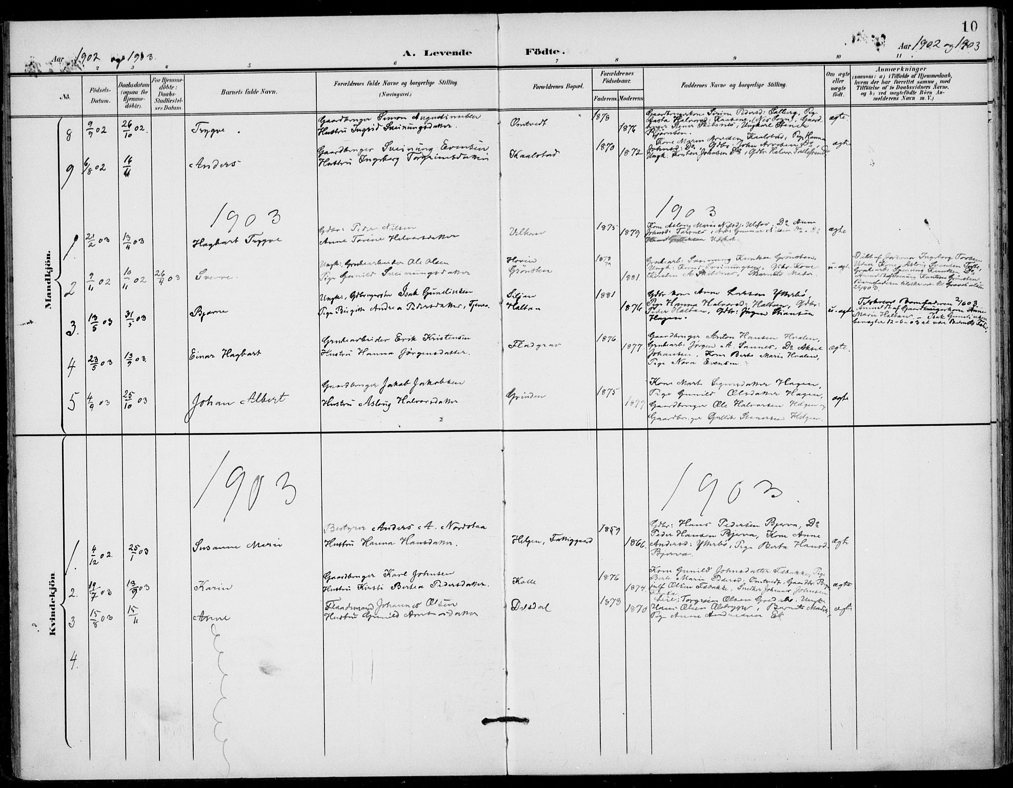 Holla kirkebøker, SAKO/A-272/F/Fa/L0011: Parish register (official) no. 11, 1897-1928, p. 10