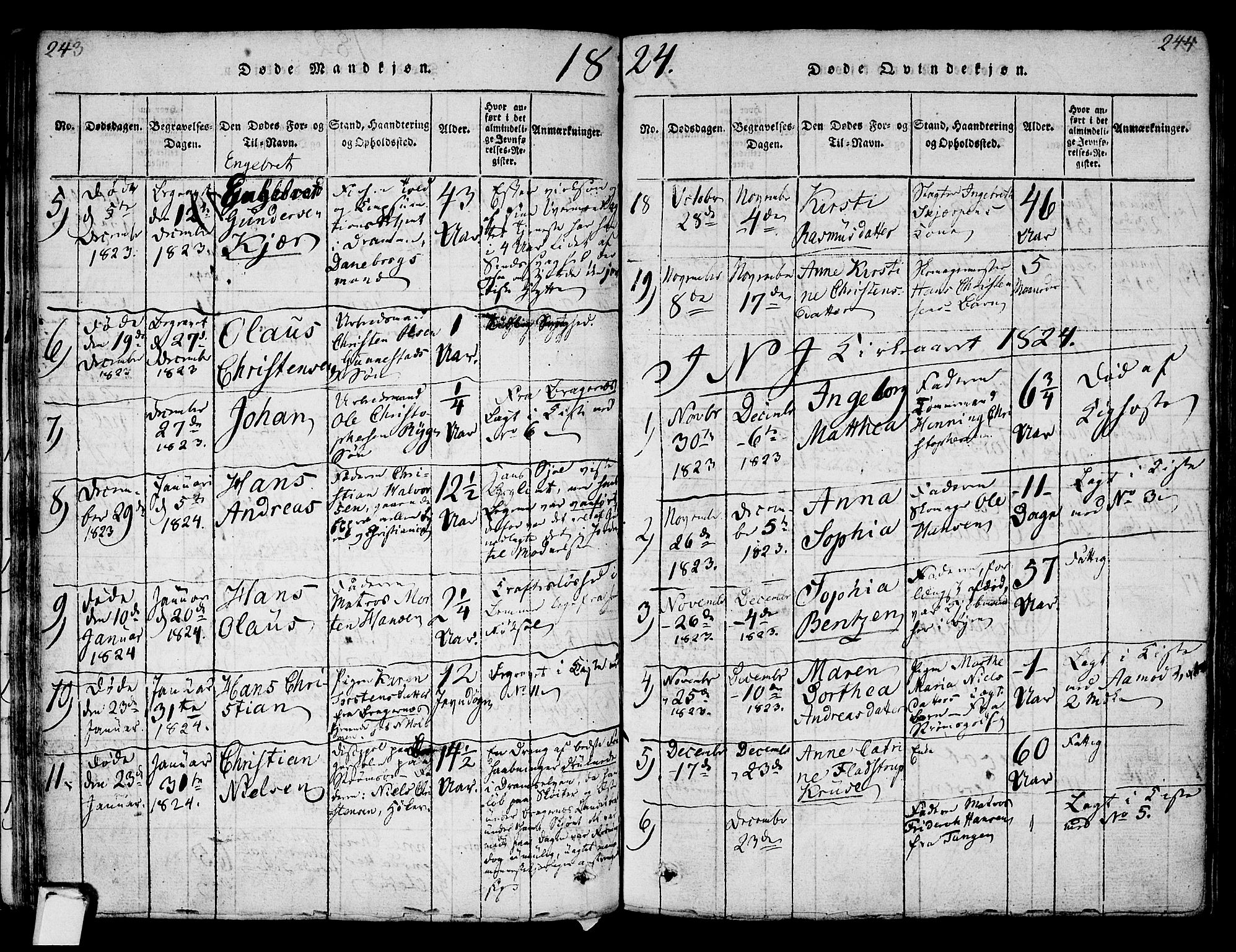 Strømsø kirkebøker, AV/SAKO-A-246/F/Fa/L0011: Parish register (official) no. I 11, 1815-1829, p. 243-244