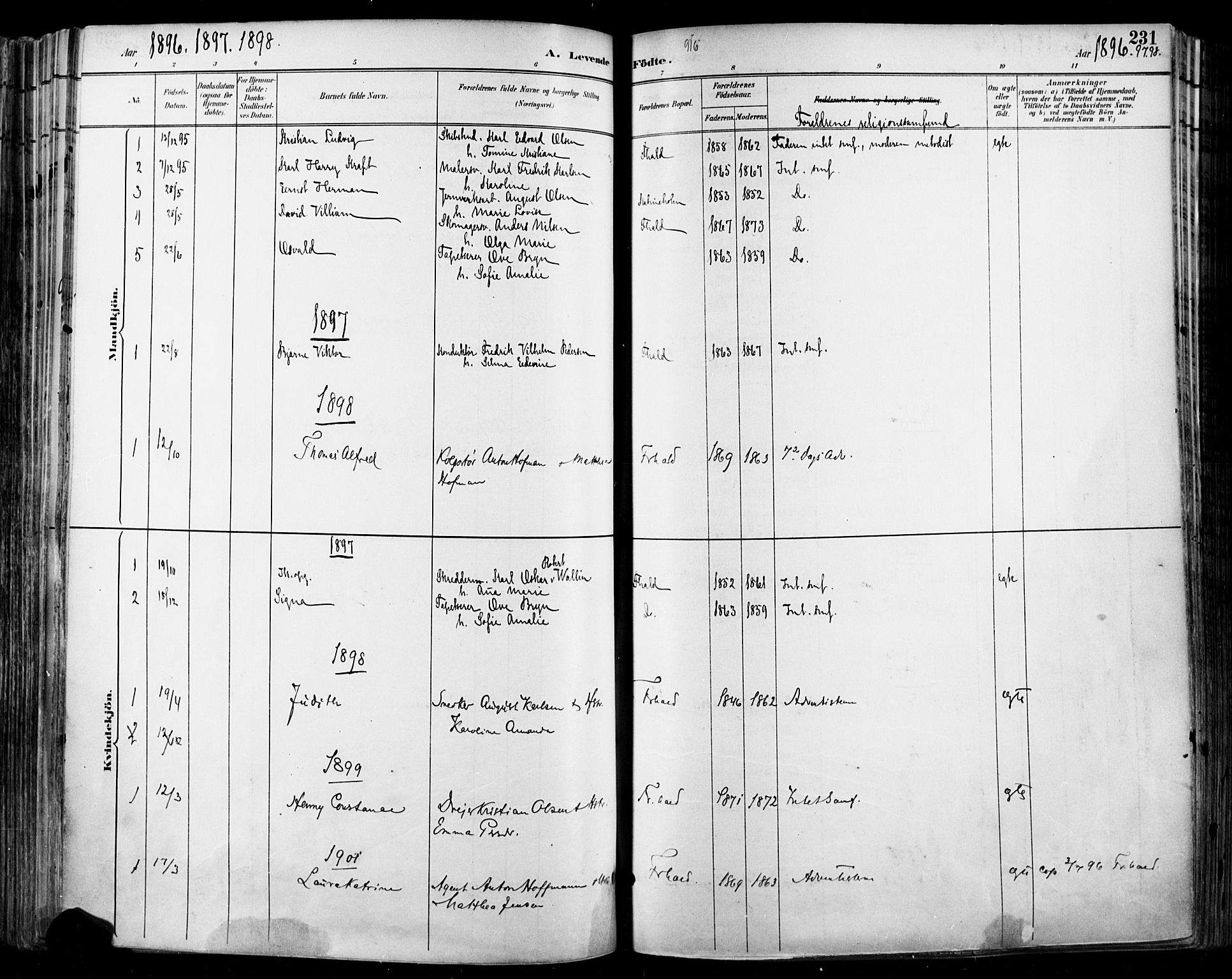 Halden prestekontor Kirkebøker, SAO/A-10909/F/Fa/L0013: Parish register (official) no. I 13, 1890-1906, p. 231