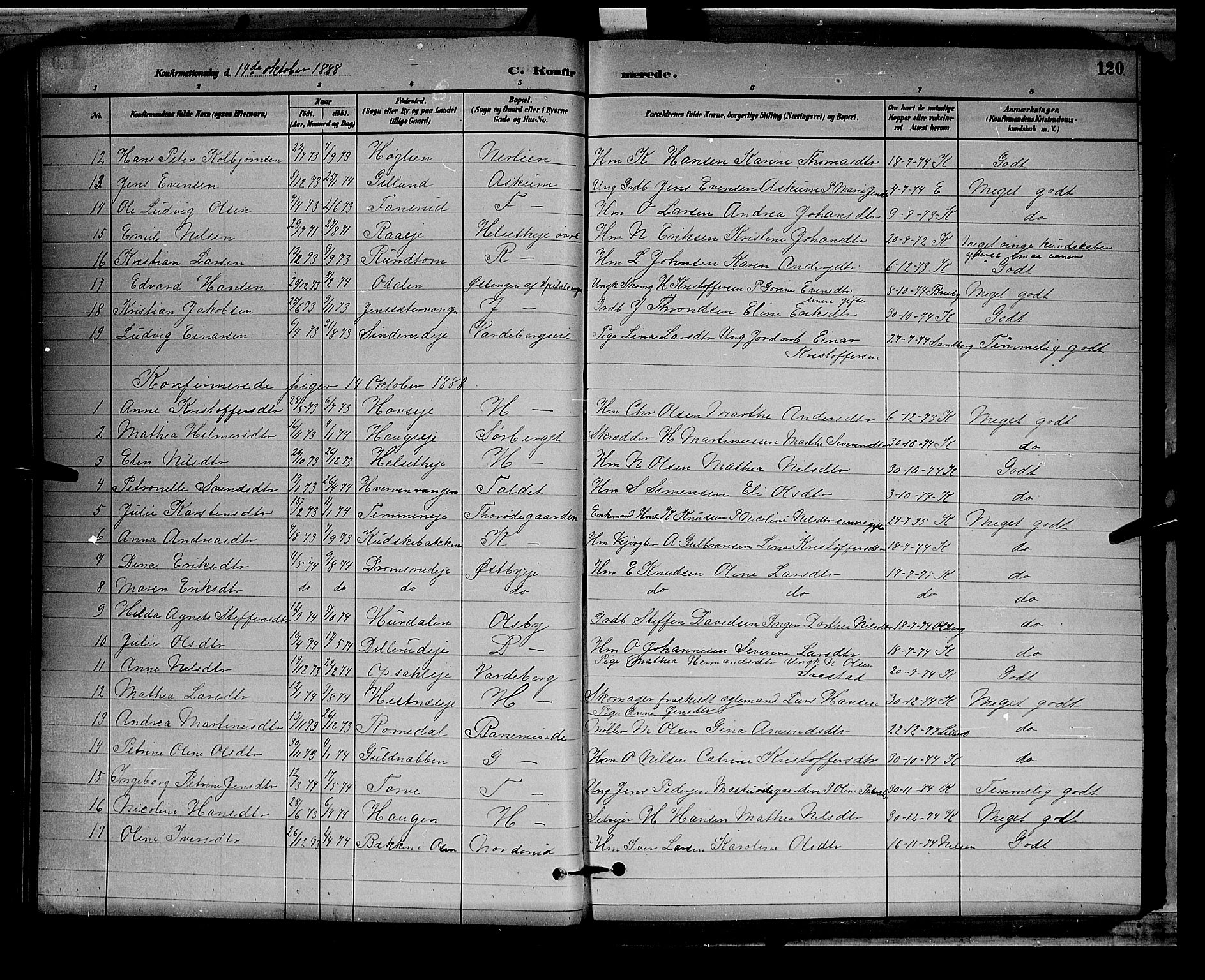 Stange prestekontor, AV/SAH-PREST-002/L/L0008: Parish register (copy) no. 8, 1882-1895, p. 120