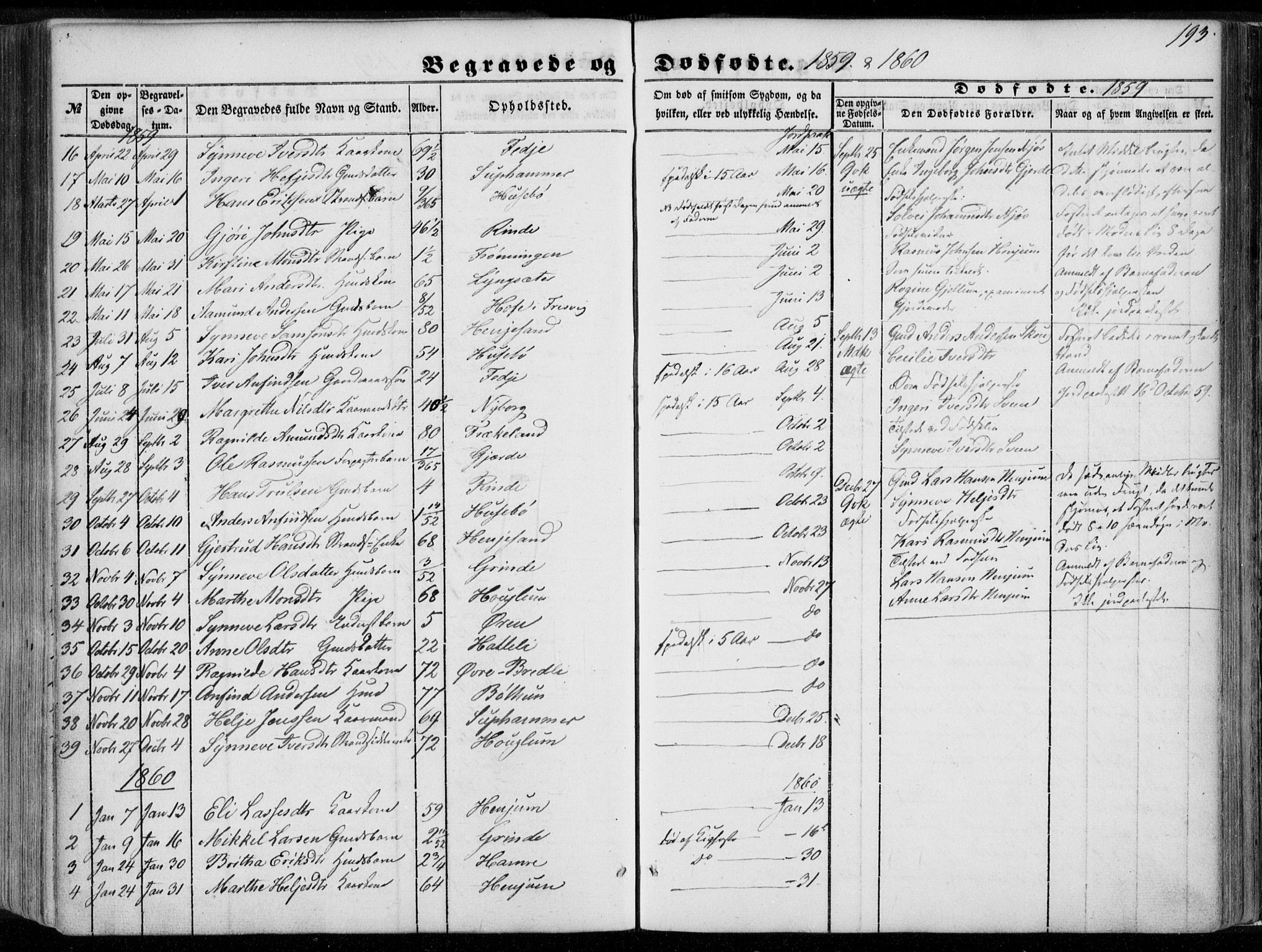 Leikanger sokneprestembete, AV/SAB-A-81001/H/Haa/Haaa/L0008: Parish register (official) no. A 8, 1852-1868, p. 193