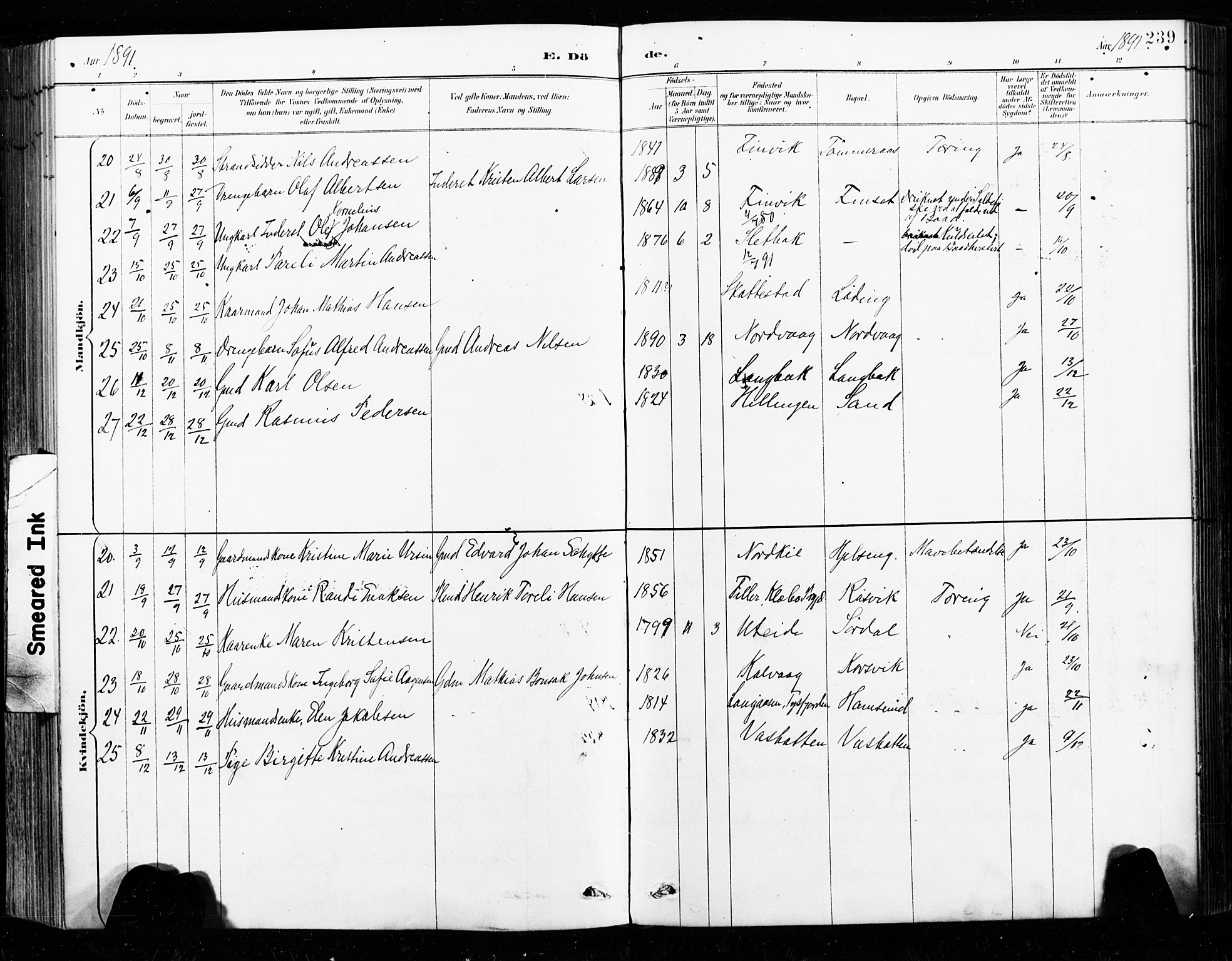 Ministerialprotokoller, klokkerbøker og fødselsregistre - Nordland, AV/SAT-A-1459/859/L0847: Parish register (official) no. 859A07, 1890-1899, p. 239