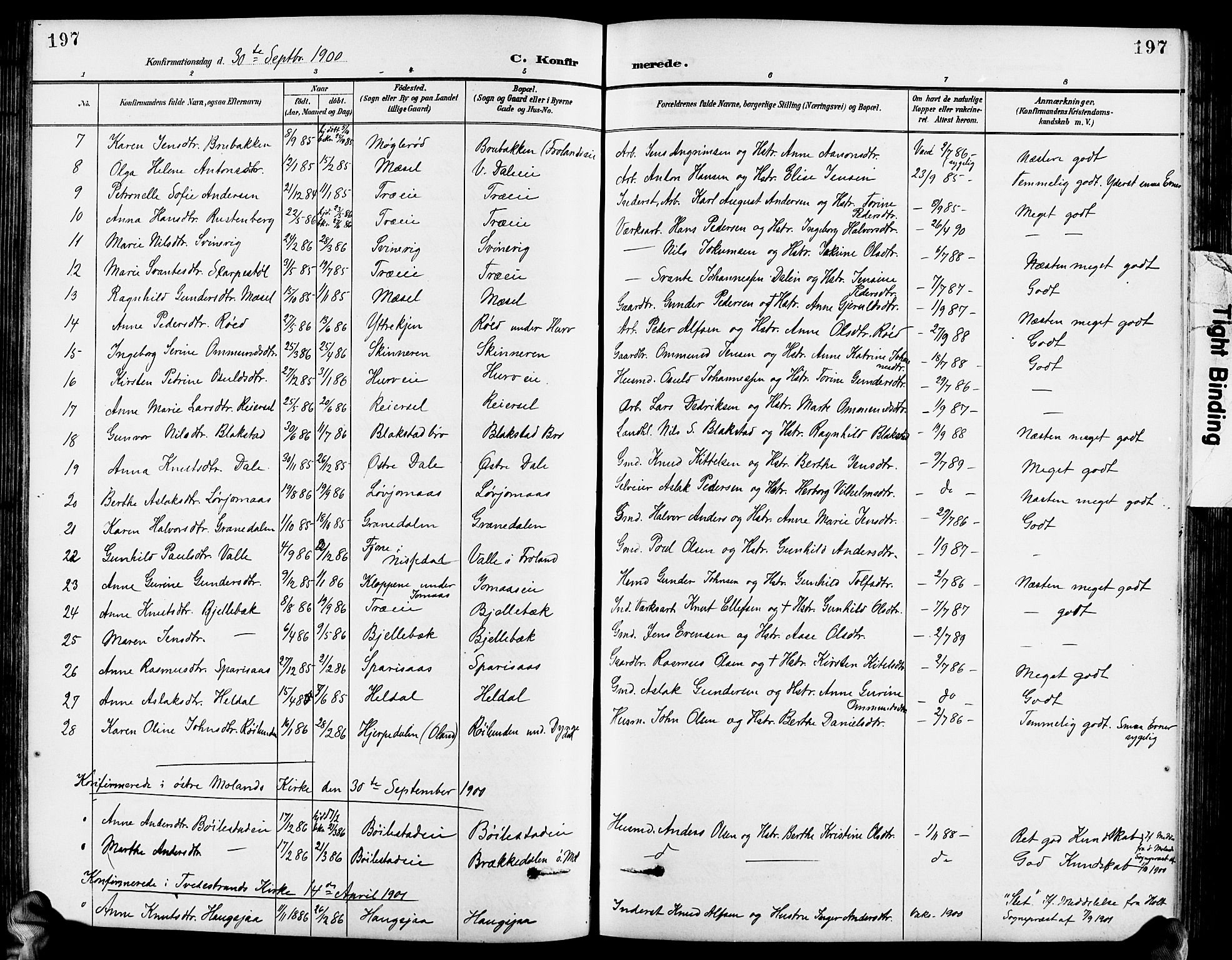 Froland sokneprestkontor, SAK/1111-0013/F/Fb/L0010: Parish register (copy) no. B 10, 1893-1920, p. 197