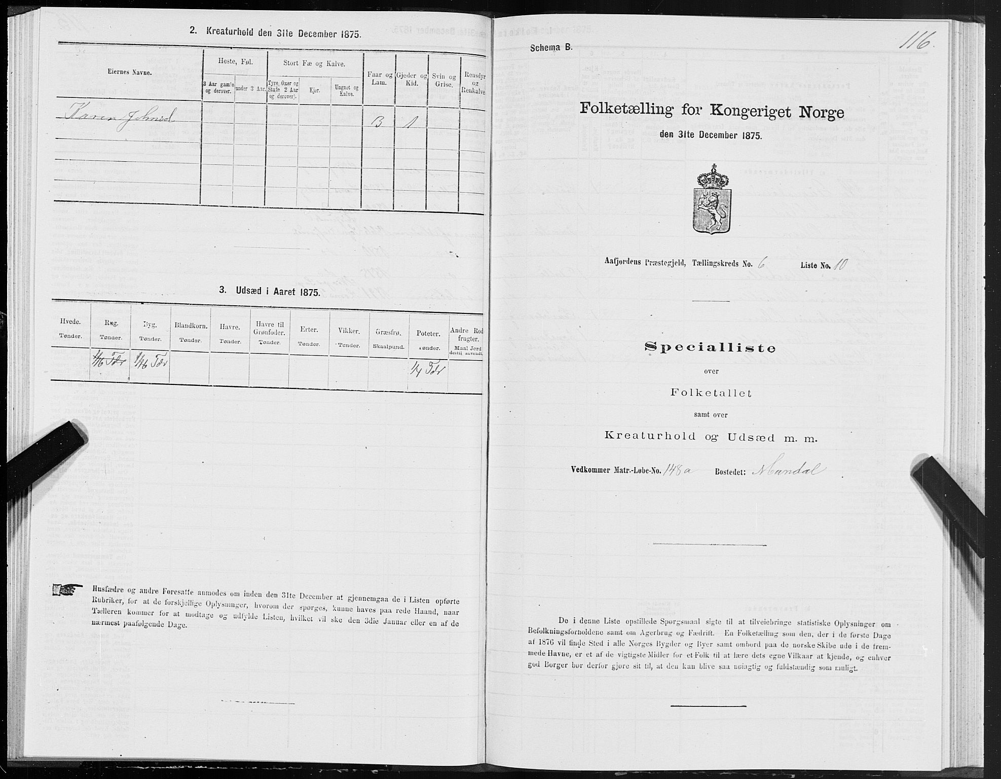 SAT, 1875 census for 1630P Aafjorden, 1875, p. 3116