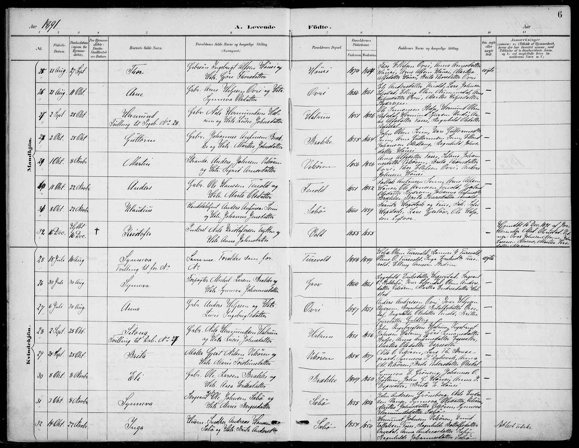 Vik sokneprestembete, AV/SAB-A-81501/H/Haa/Haab/L0002: Parish register (official) no. B  2, 1891-1907, p. 6