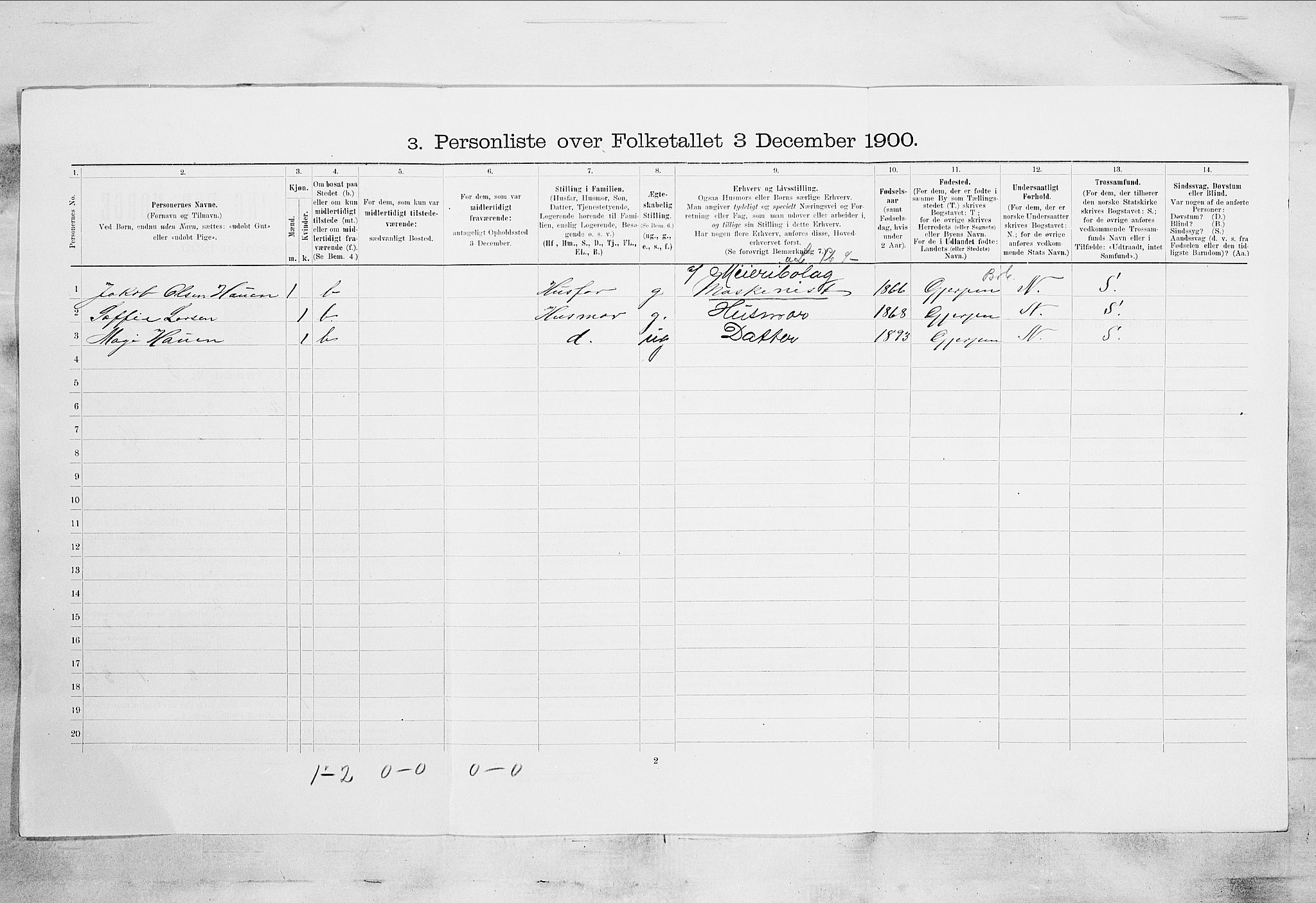 SAKO, 1900 census for Skien, 1900, p. 297