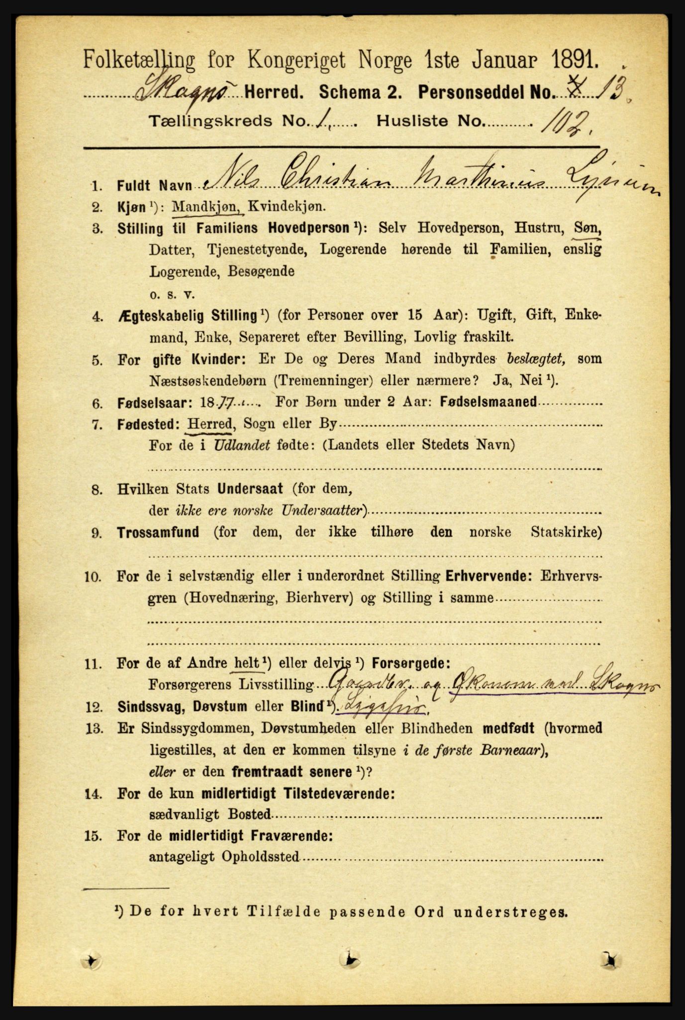 RA, 1891 census for 1719 Skogn, 1891, p. 728