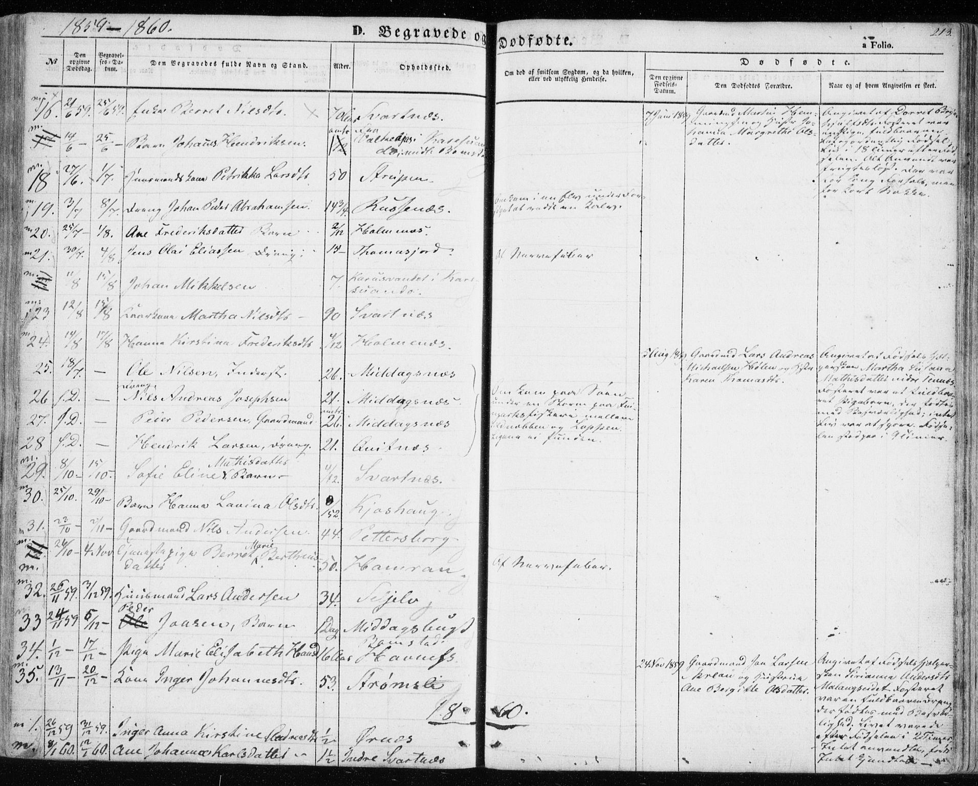 Balsfjord sokneprestembete, AV/SATØ-S-1303/G/Gaa/L0003kirke: Parish register (official) no. 3, 1856-1870, p. 213