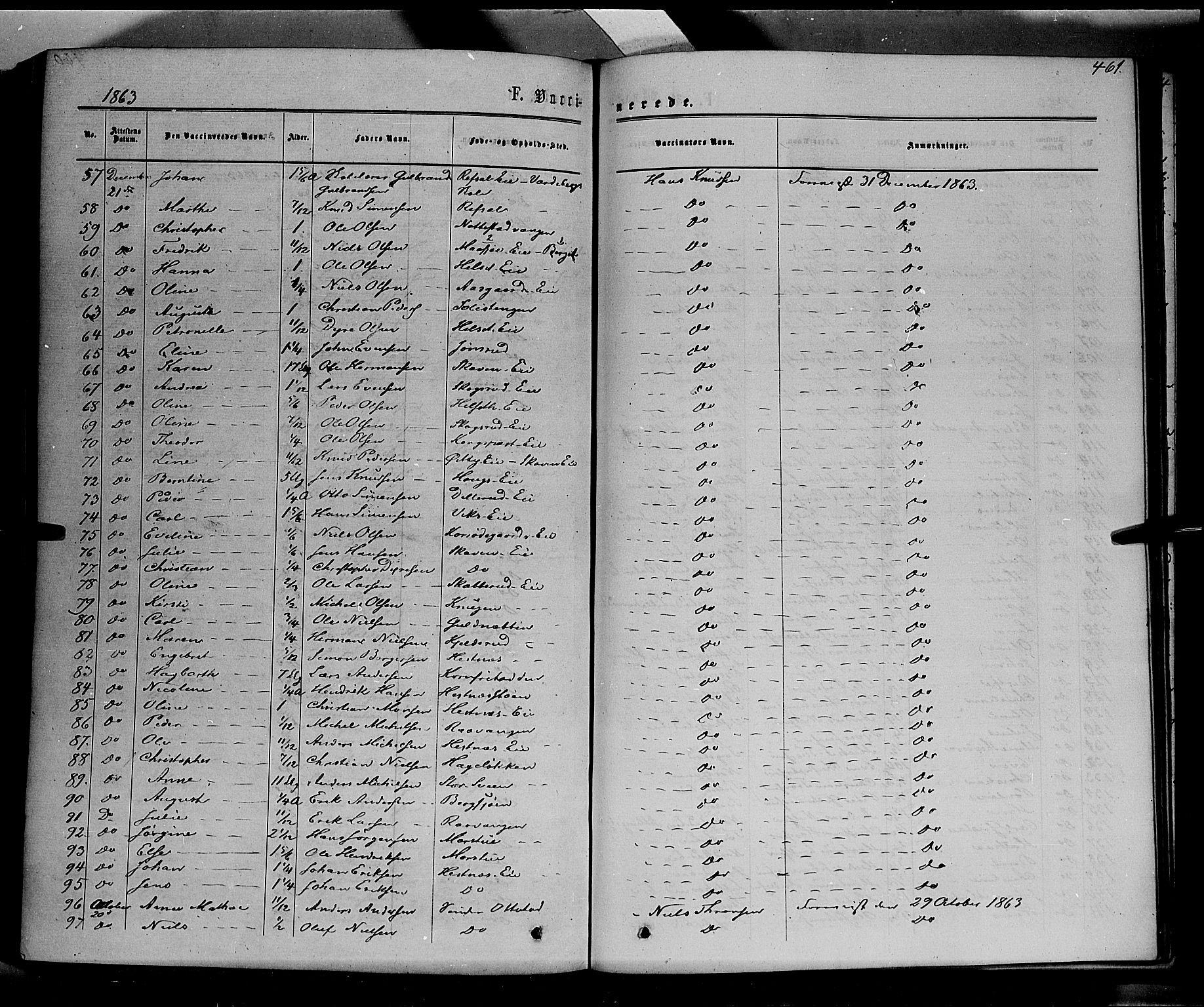 Stange prestekontor, SAH/PREST-002/K/L0013: Parish register (official) no. 13, 1862-1879, p. 461