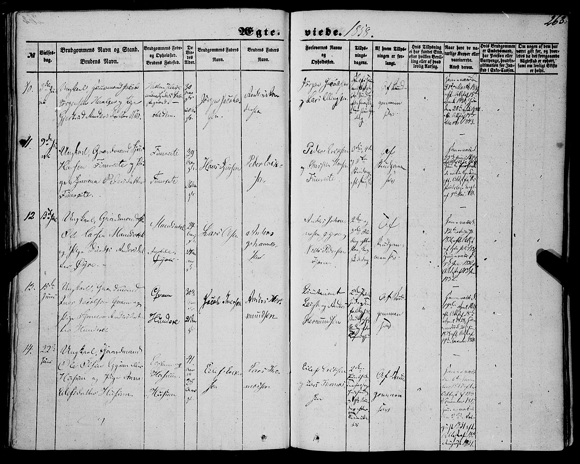 Sogndal sokneprestembete, AV/SAB-A-81301/H/Haa/Haaa/L0012II: Parish register (official) no. A 12II, 1847-1877, p. 263