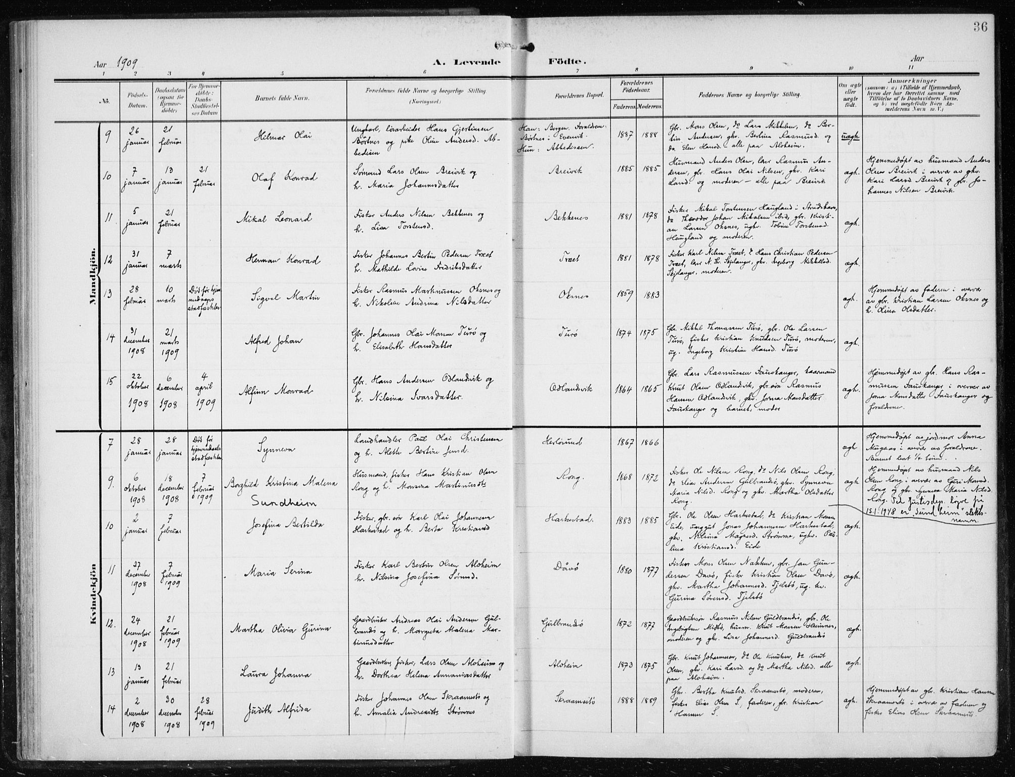 Herdla Sokneprestembete, AV/SAB-A-75701/H/Haa: Parish register (official) no. A 5, 1905-1918, p. 36