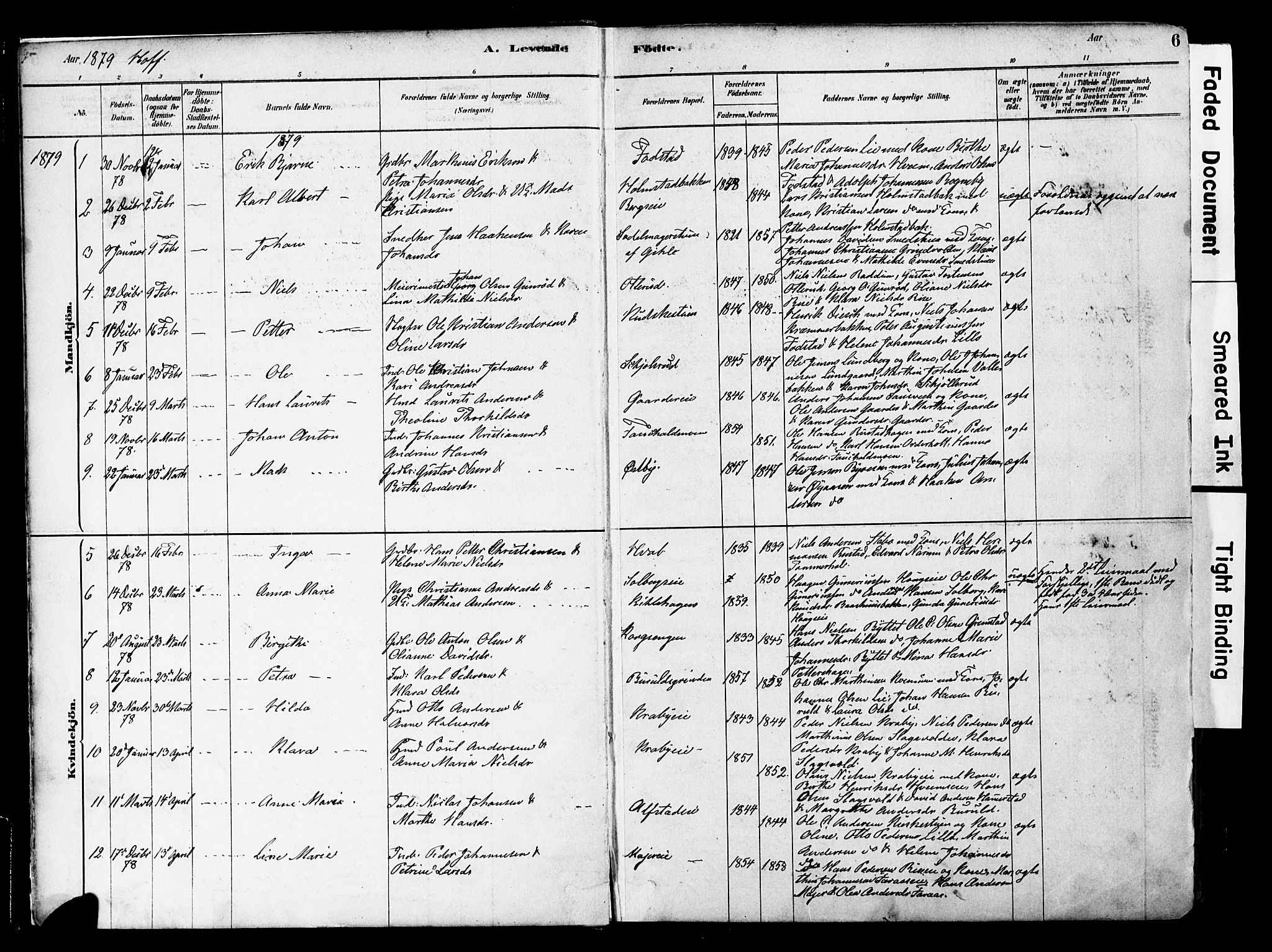 Østre Toten prestekontor, SAH/PREST-104/H/Ha/Haa/L0006: Parish register (official) no. 6 /1, 1878-1896, p. 6