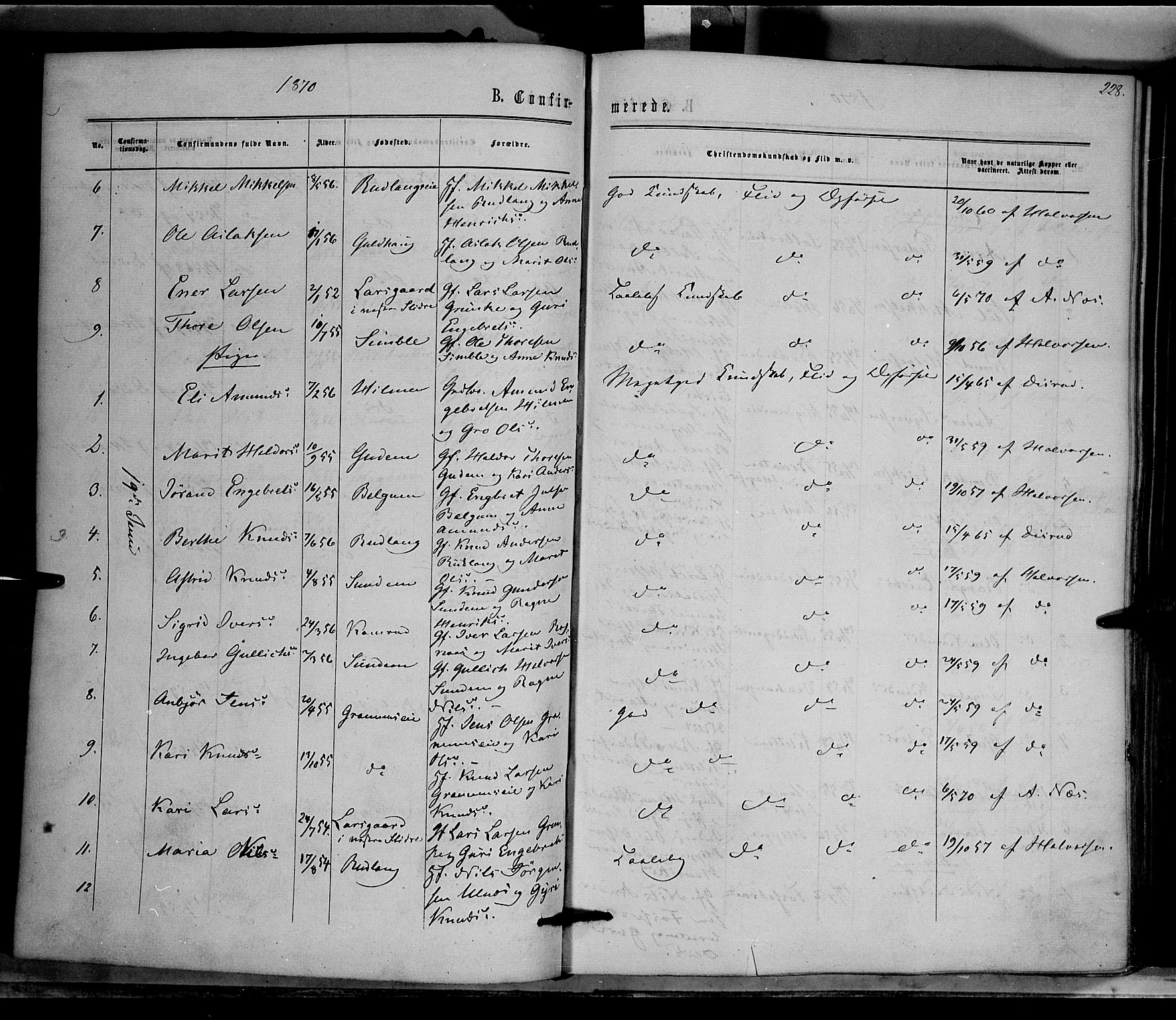 Nord-Aurdal prestekontor, AV/SAH-PREST-132/H/Ha/Haa/L0008: Parish register (official) no. 8, 1863-1875, p. 228