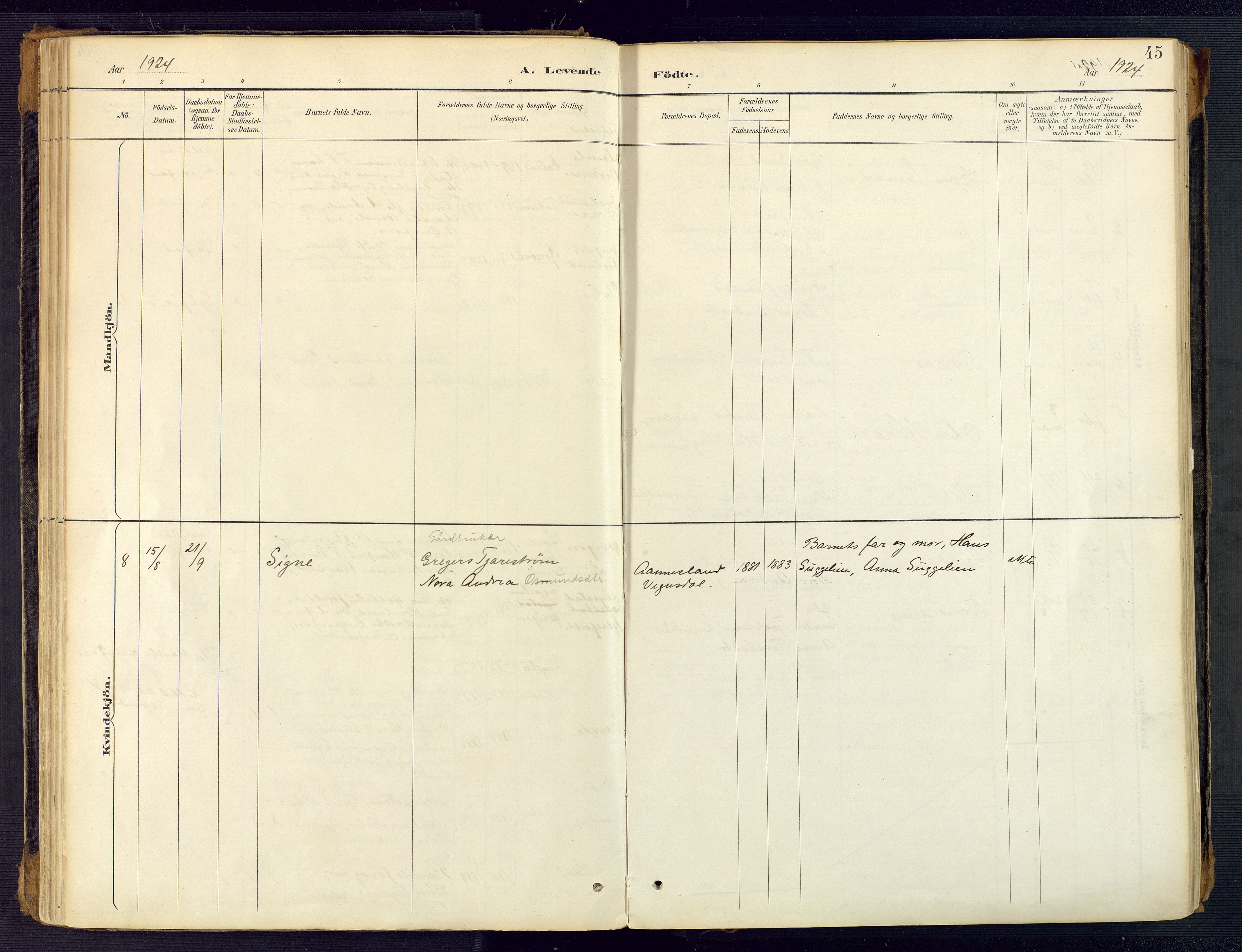 Herefoss sokneprestkontor, SAK/1111-0019/F/Fa/Faa/L0003: Parish register (official) no. A 3, 1887-1930, p. 45