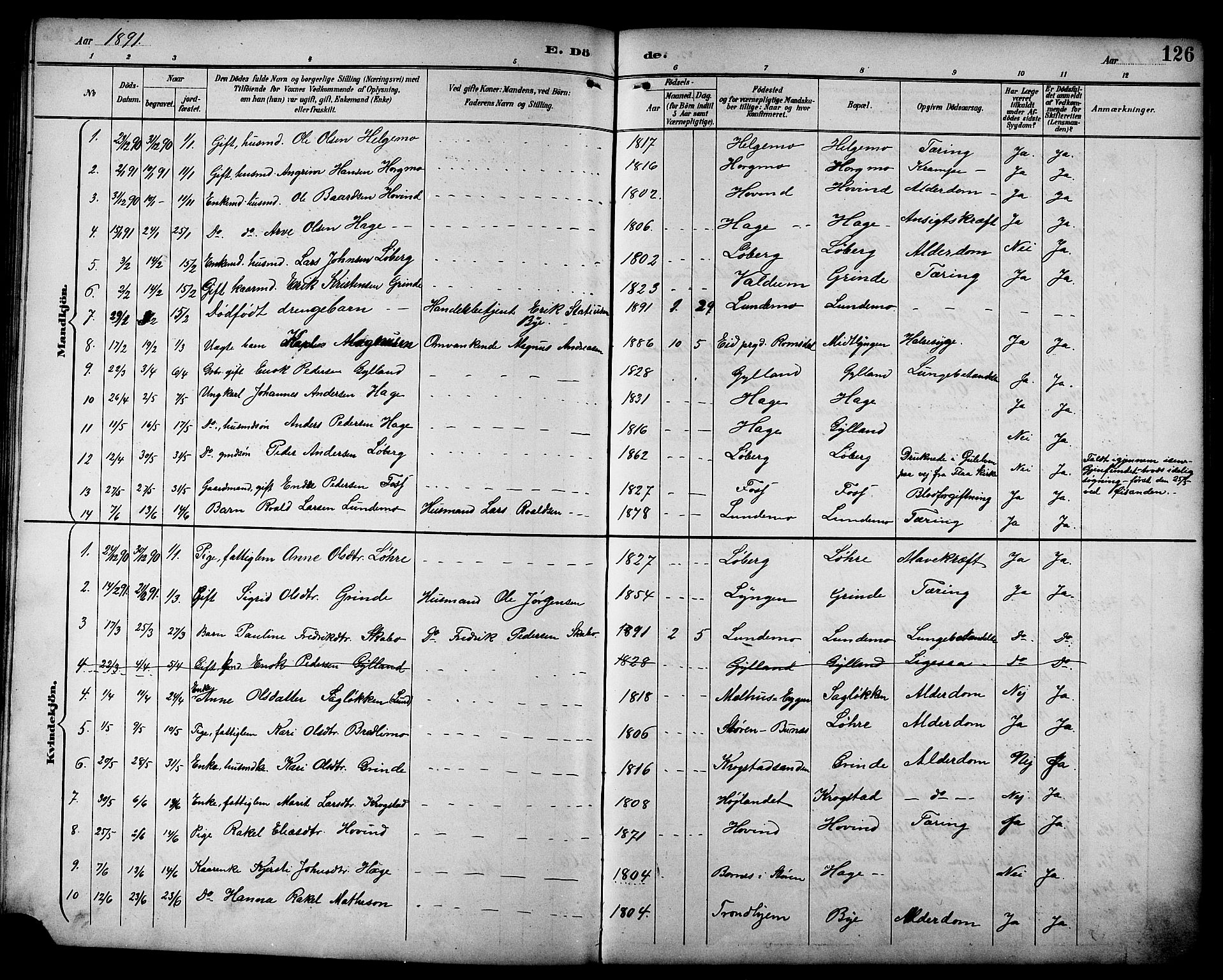 Ministerialprotokoller, klokkerbøker og fødselsregistre - Sør-Trøndelag, SAT/A-1456/692/L1111: Parish register (copy) no. 692C06, 1890-1904, p. 126